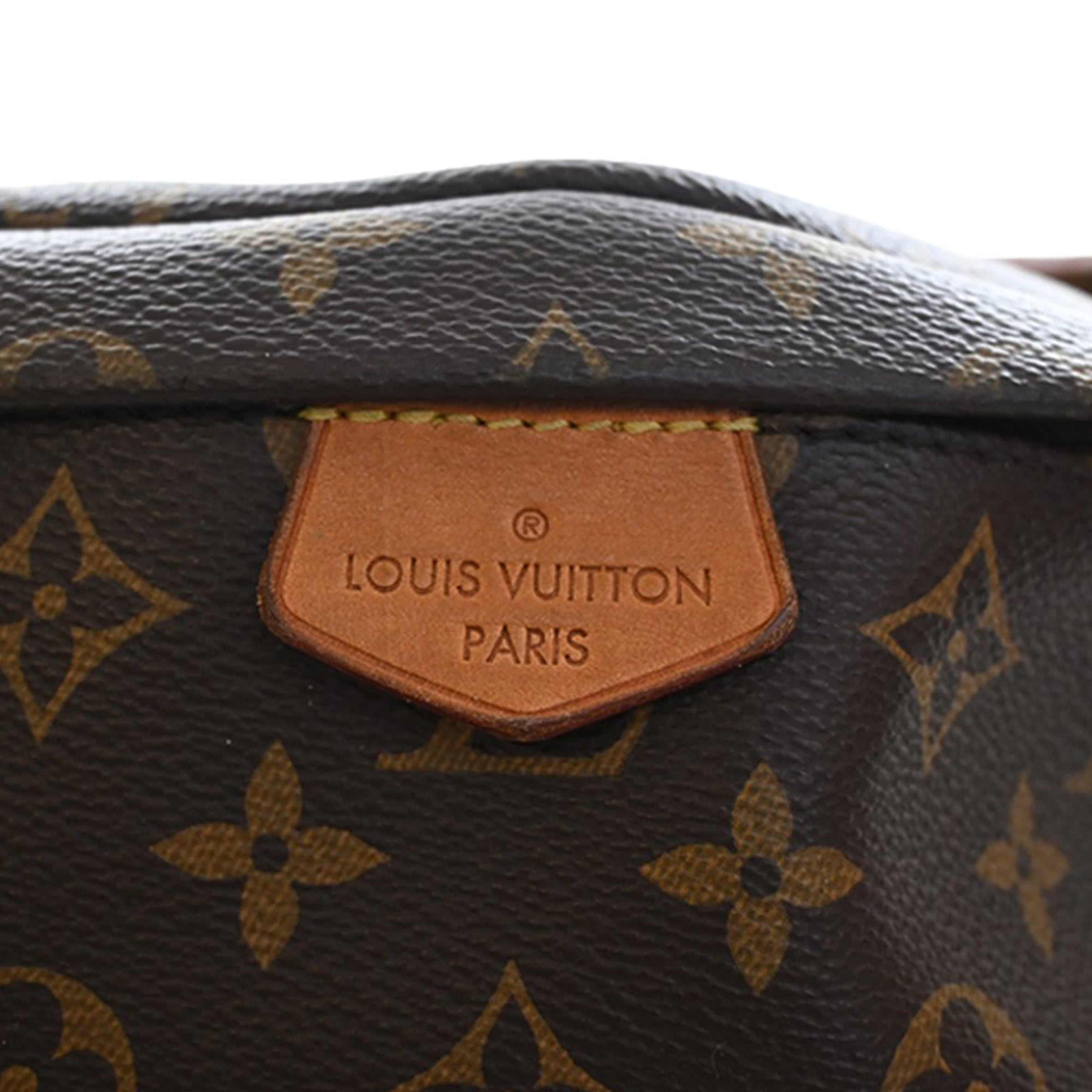 Louis Vuitton Monogram Bumbag - image 6