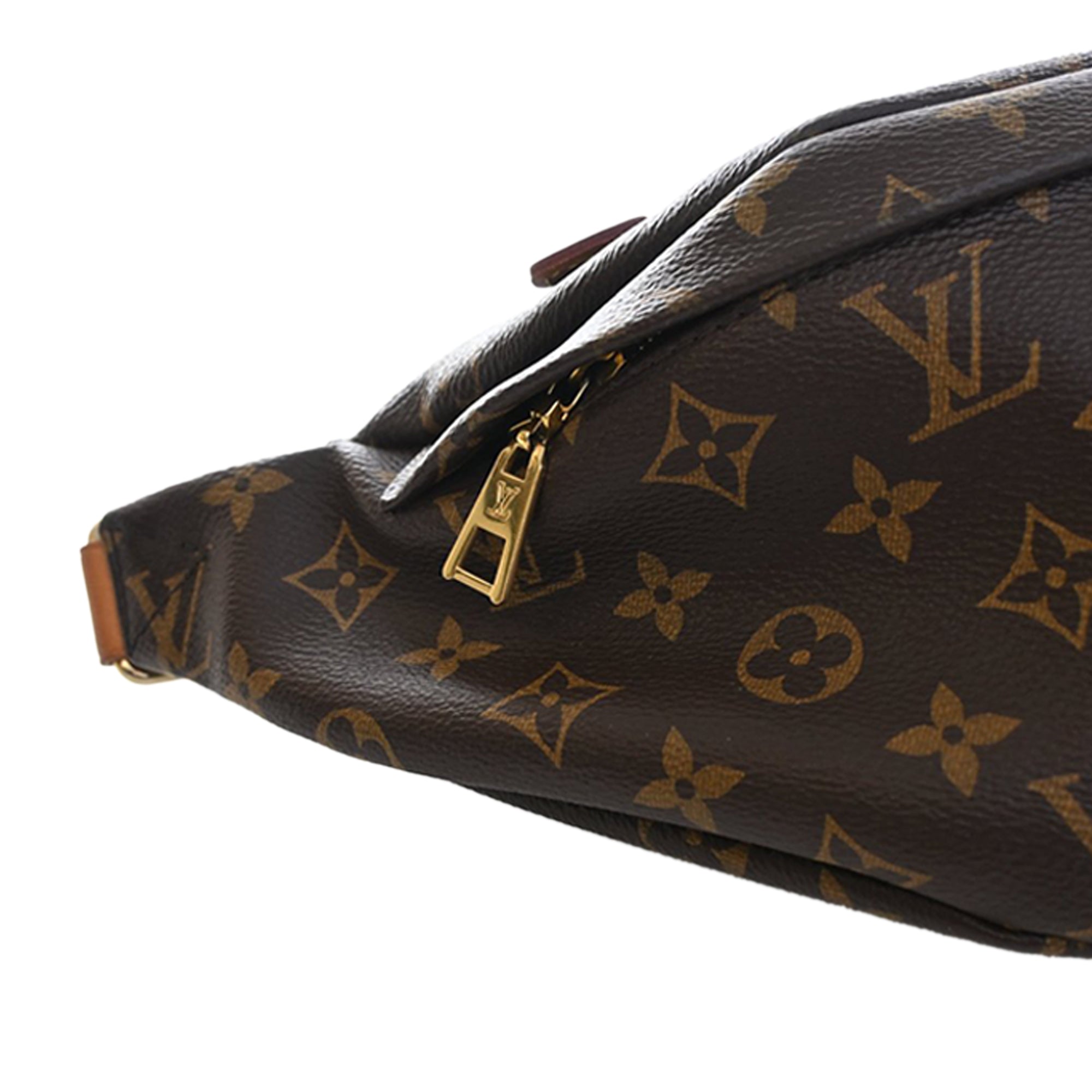 Louis Vuitton Monogram Bumbag - image 8