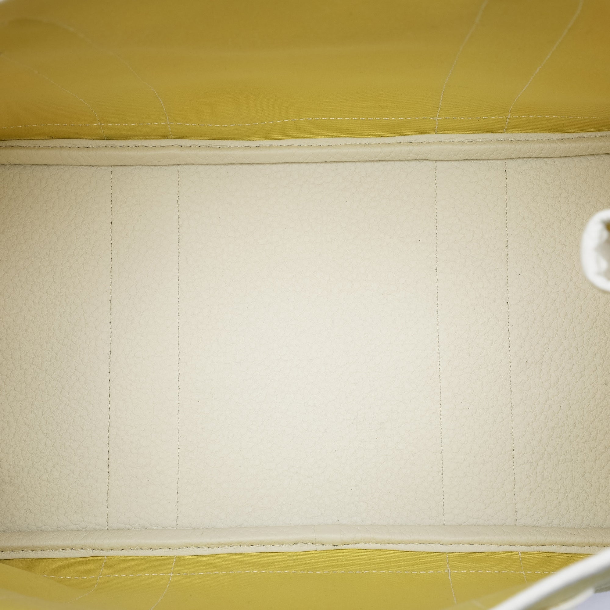 Hermès Toile and Negonda Garden Party 36 - image 4