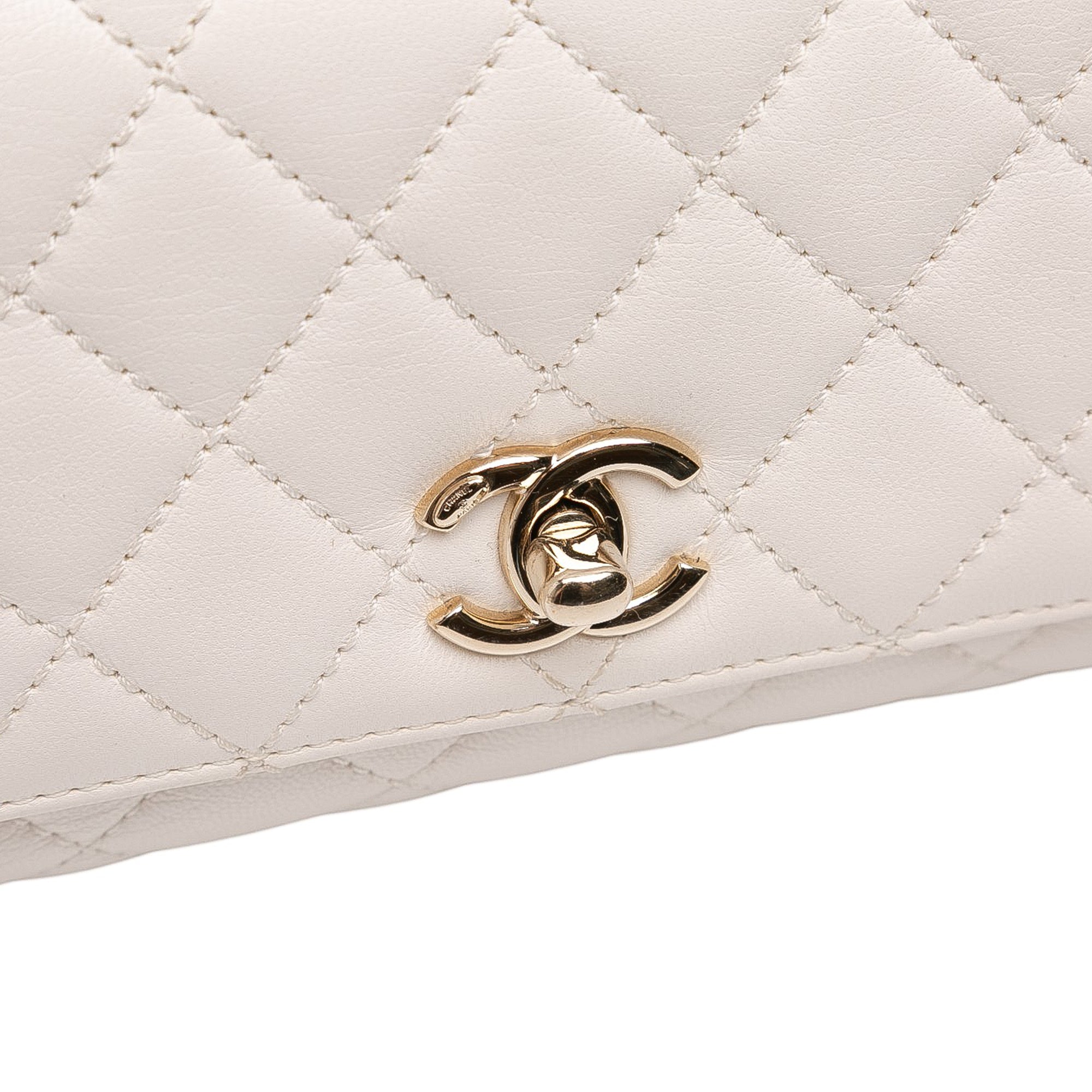 Chanel Extra Mini Quilted Goatskin Rainbow Top Handle Flap - image 8