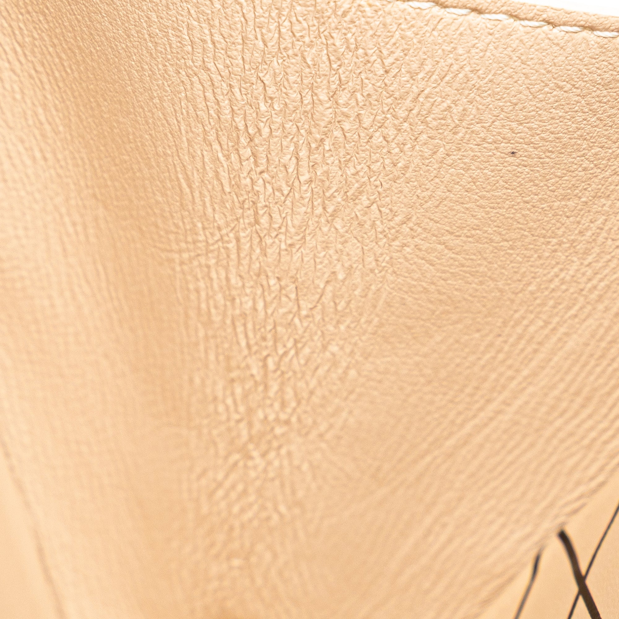 Louis Vuitton Epi Petit Malle - image 7