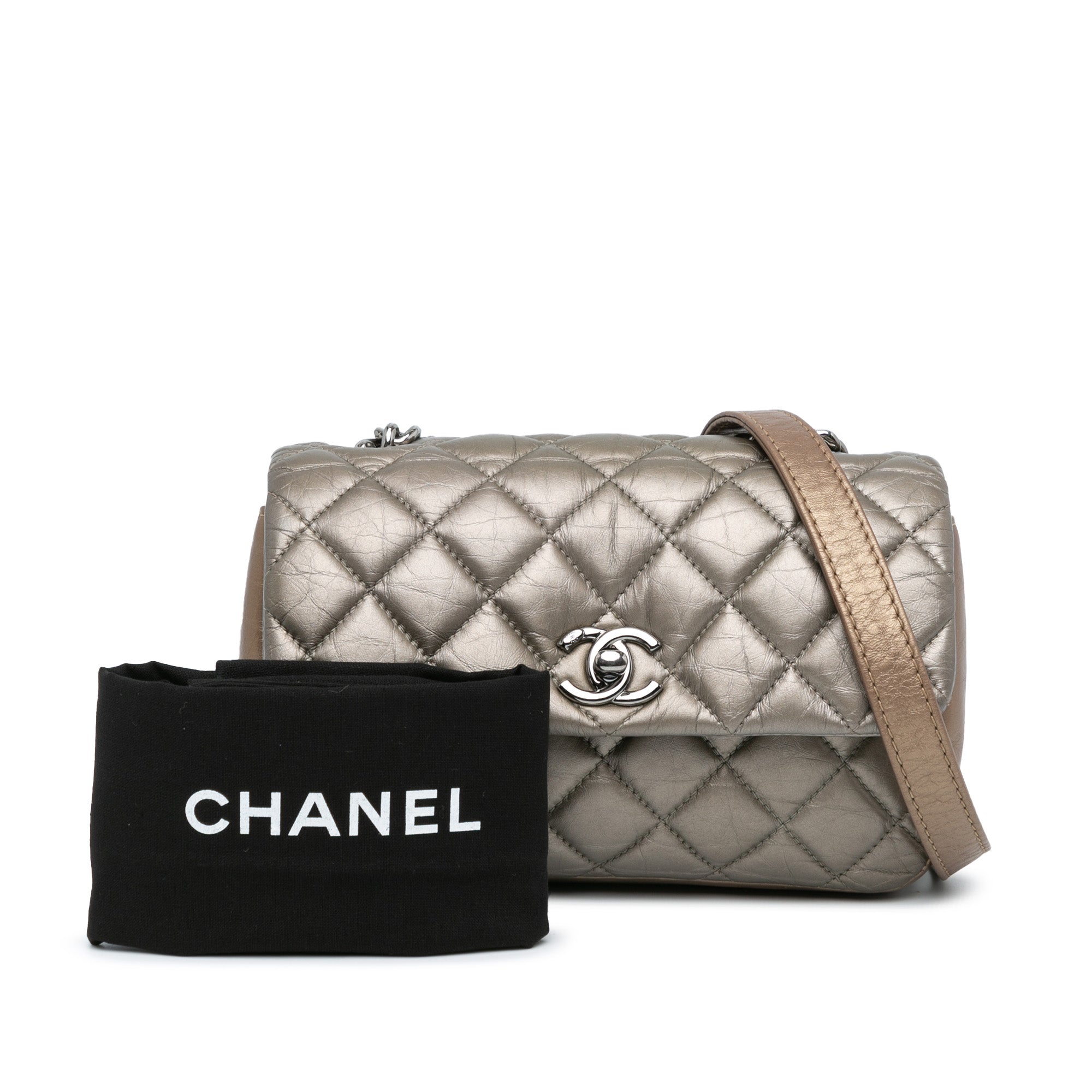 Chanel Mini Quilted Metallic Calfskin Lady Pearly Flap - image 10