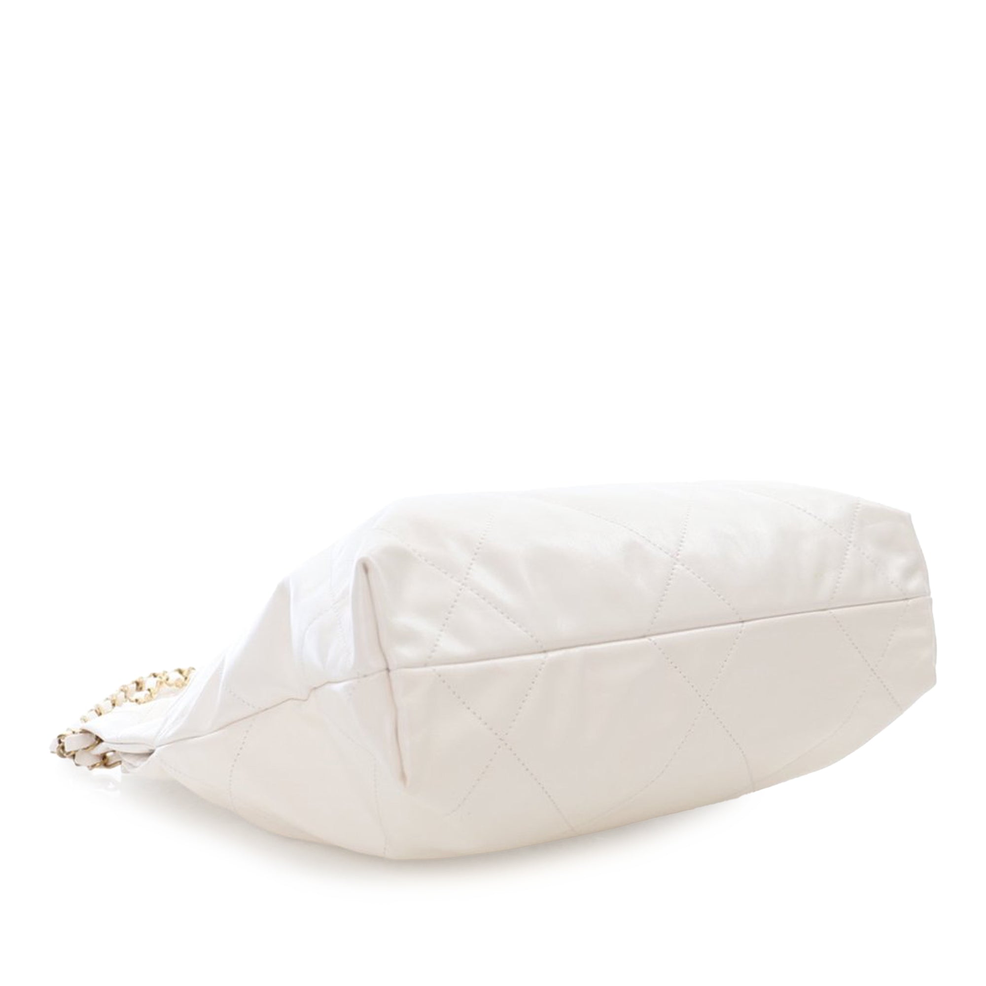 Chanel Small Goatskin 22 Handbag - image 12