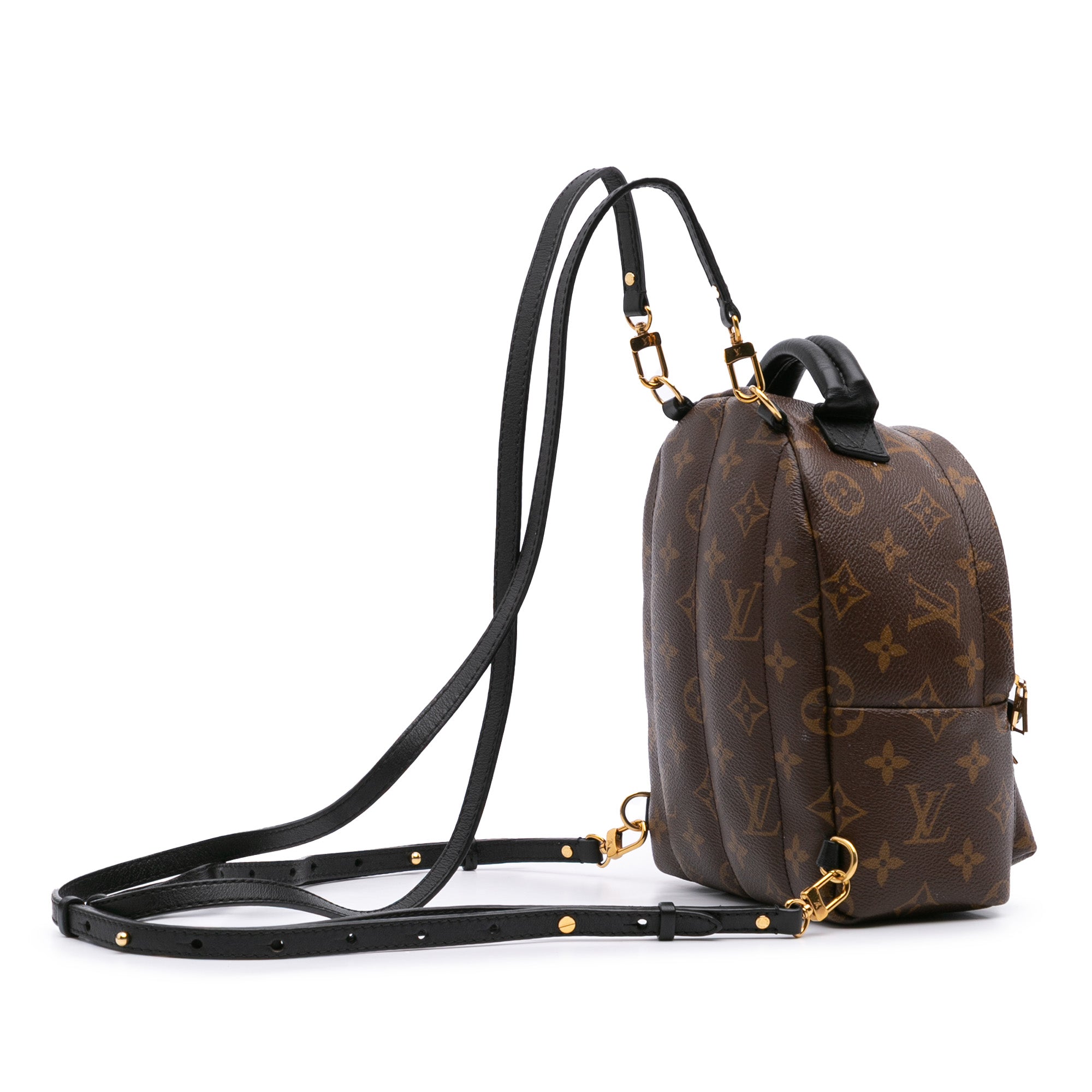 Louis Vuitton Monogram Mini Palm Springs - image 2