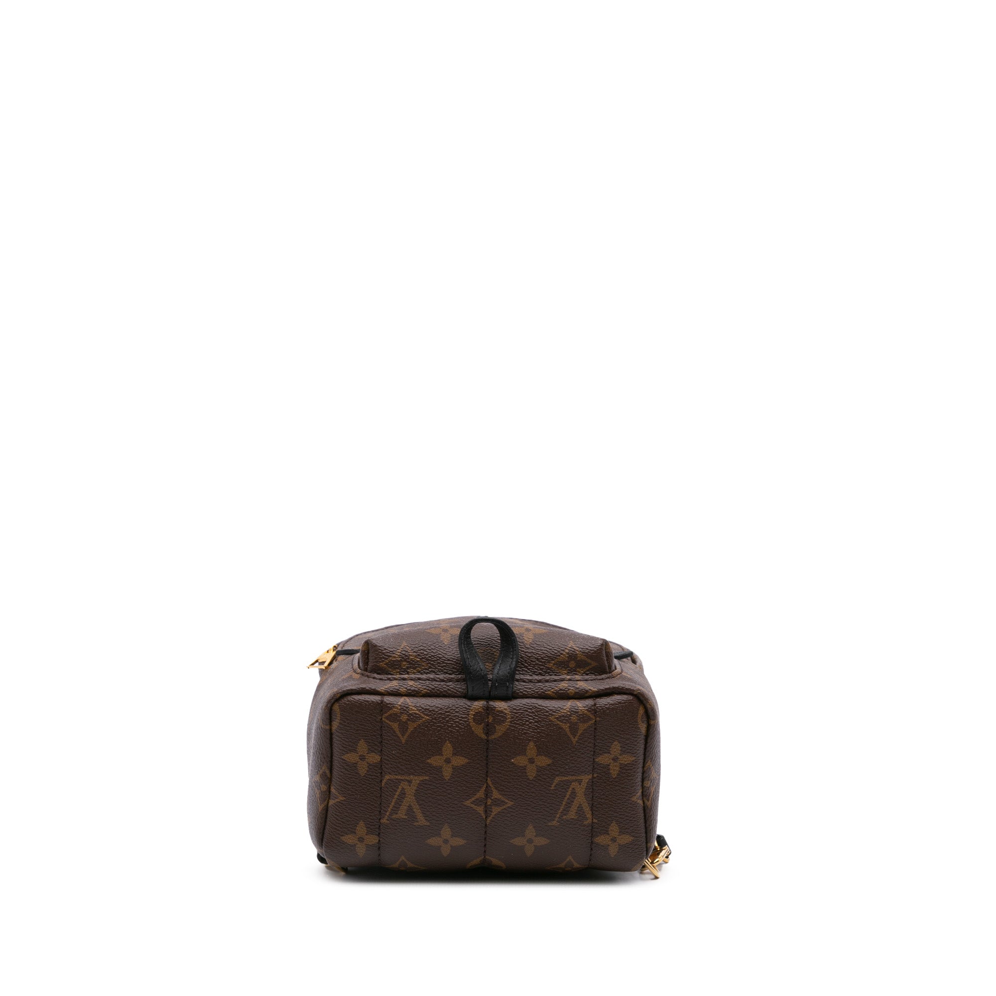 Louis Vuitton Monogram Mini Palm Springs - image 3