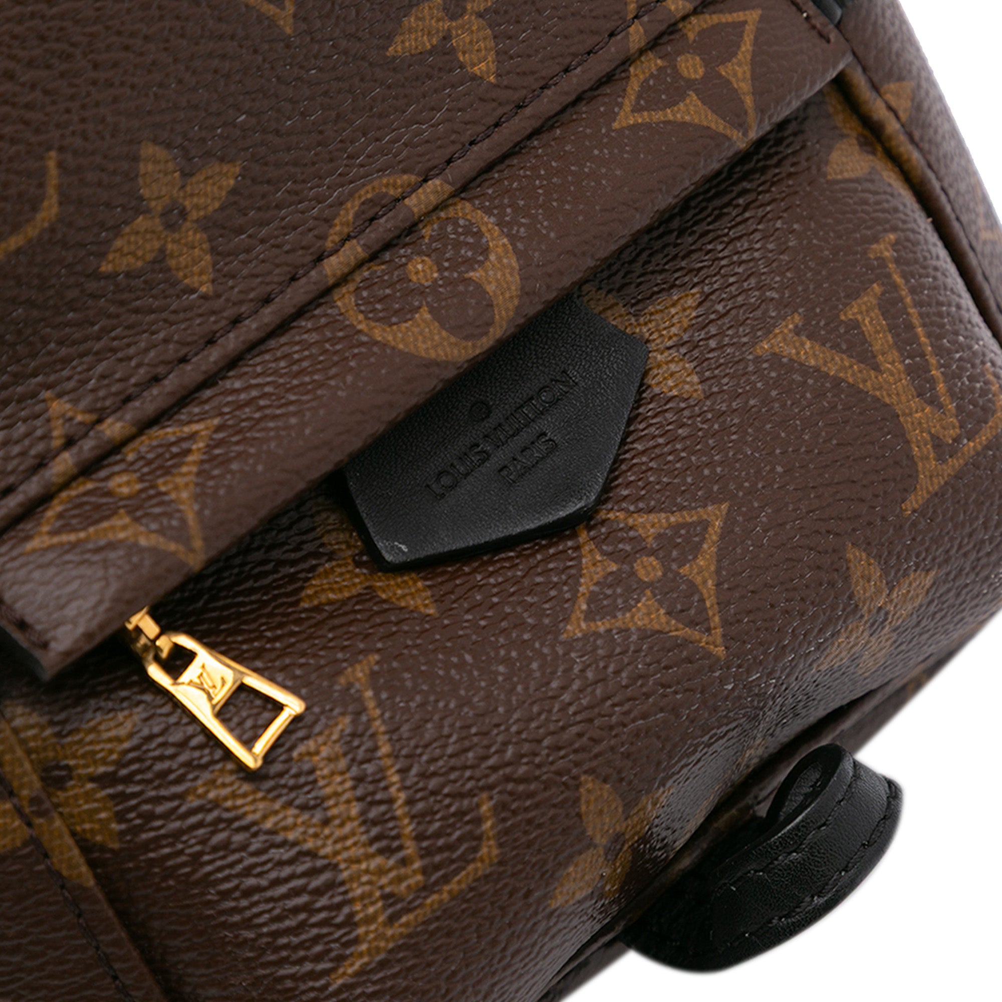 Louis Vuitton Monogram Mini Palm Springs - image 6