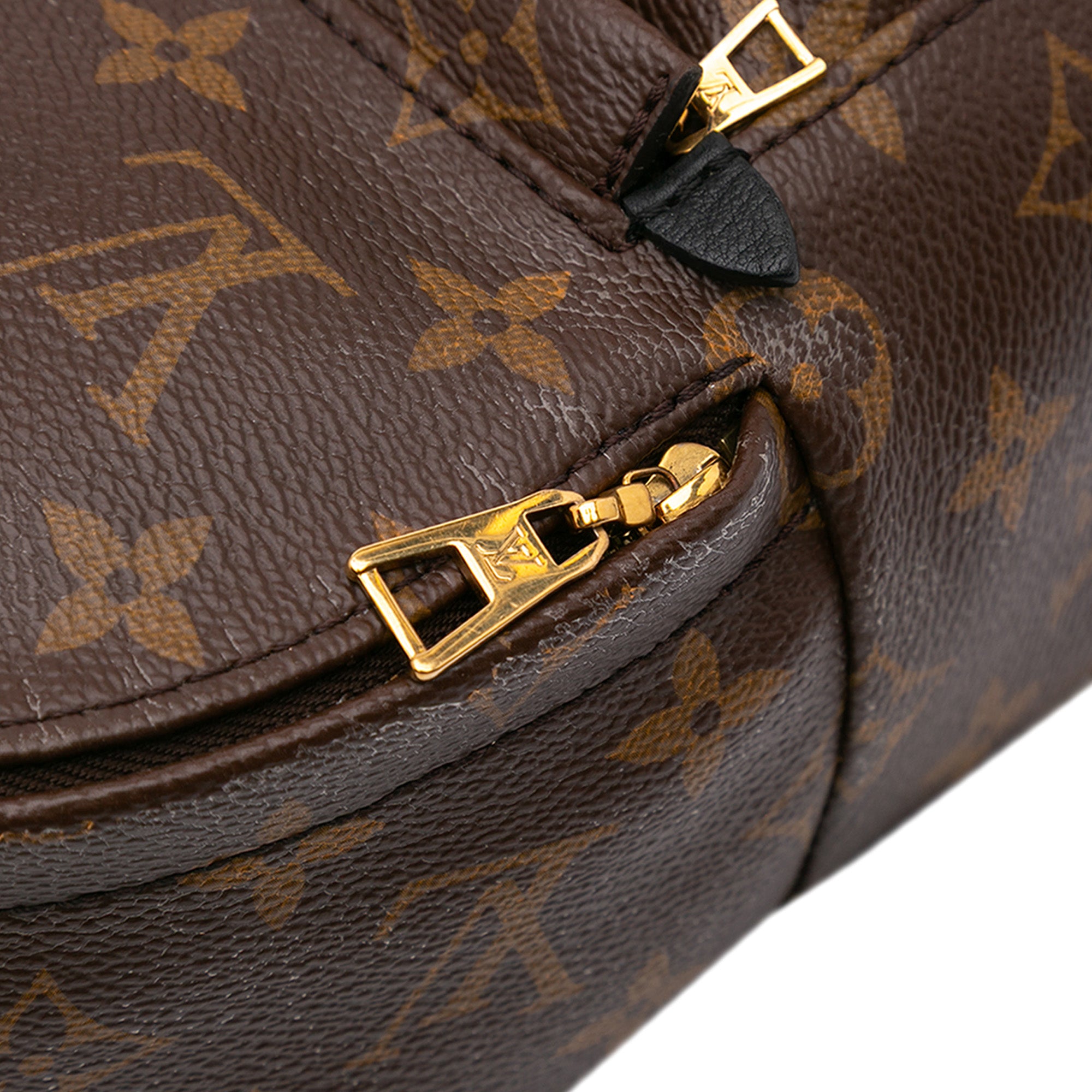 Louis Vuitton Monogram Mini Palm Springs - image 7