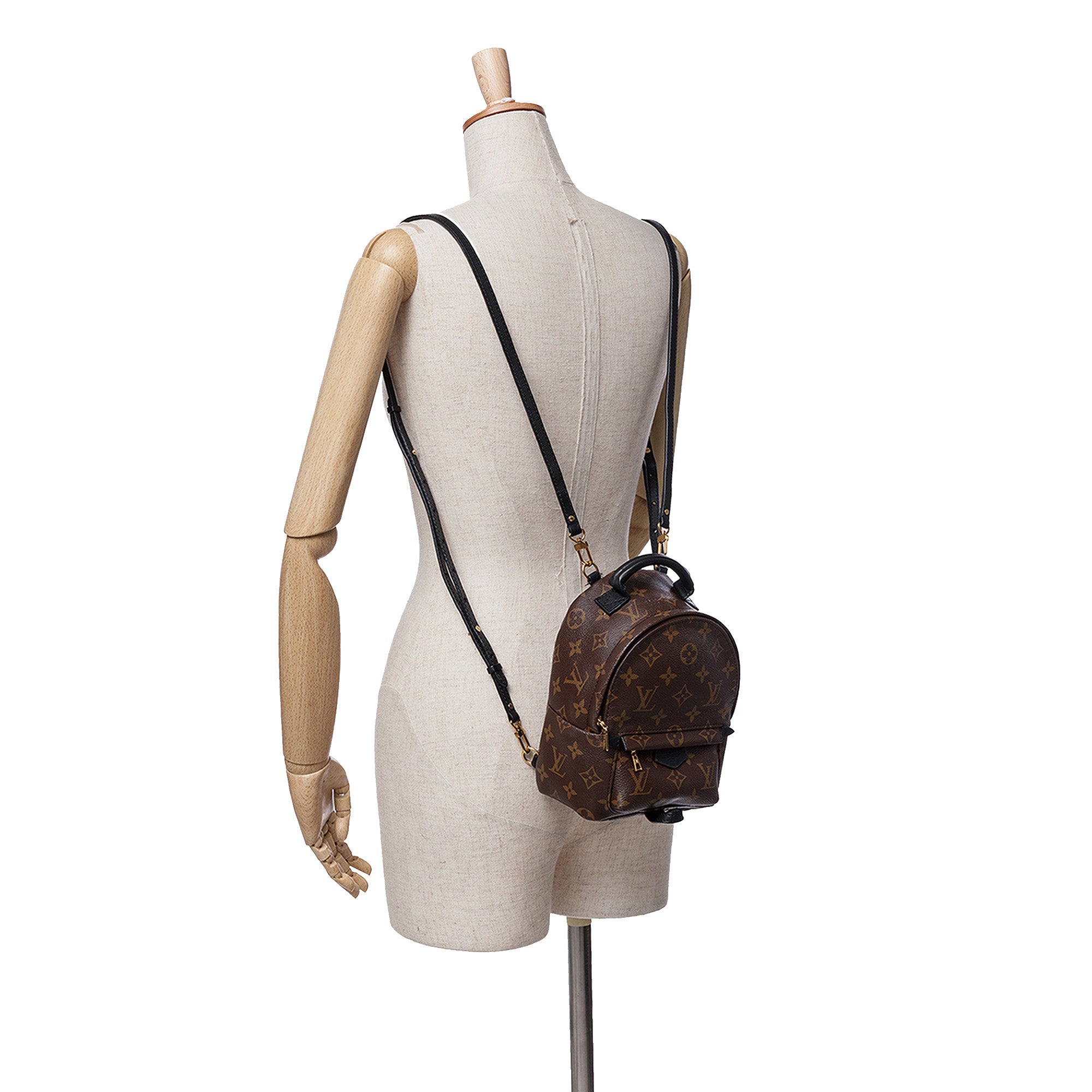 Louis Vuitton Monogram Mini Palm Springs - image 9