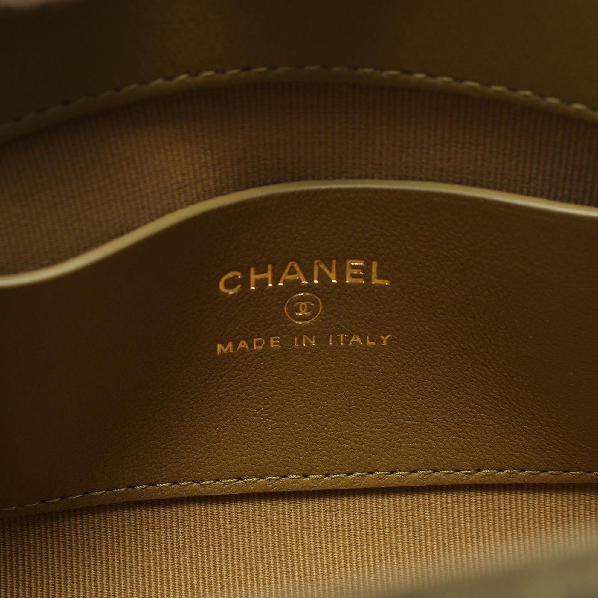 Chanel Quilted Lambskin Leo Shoulder Bag - image 4