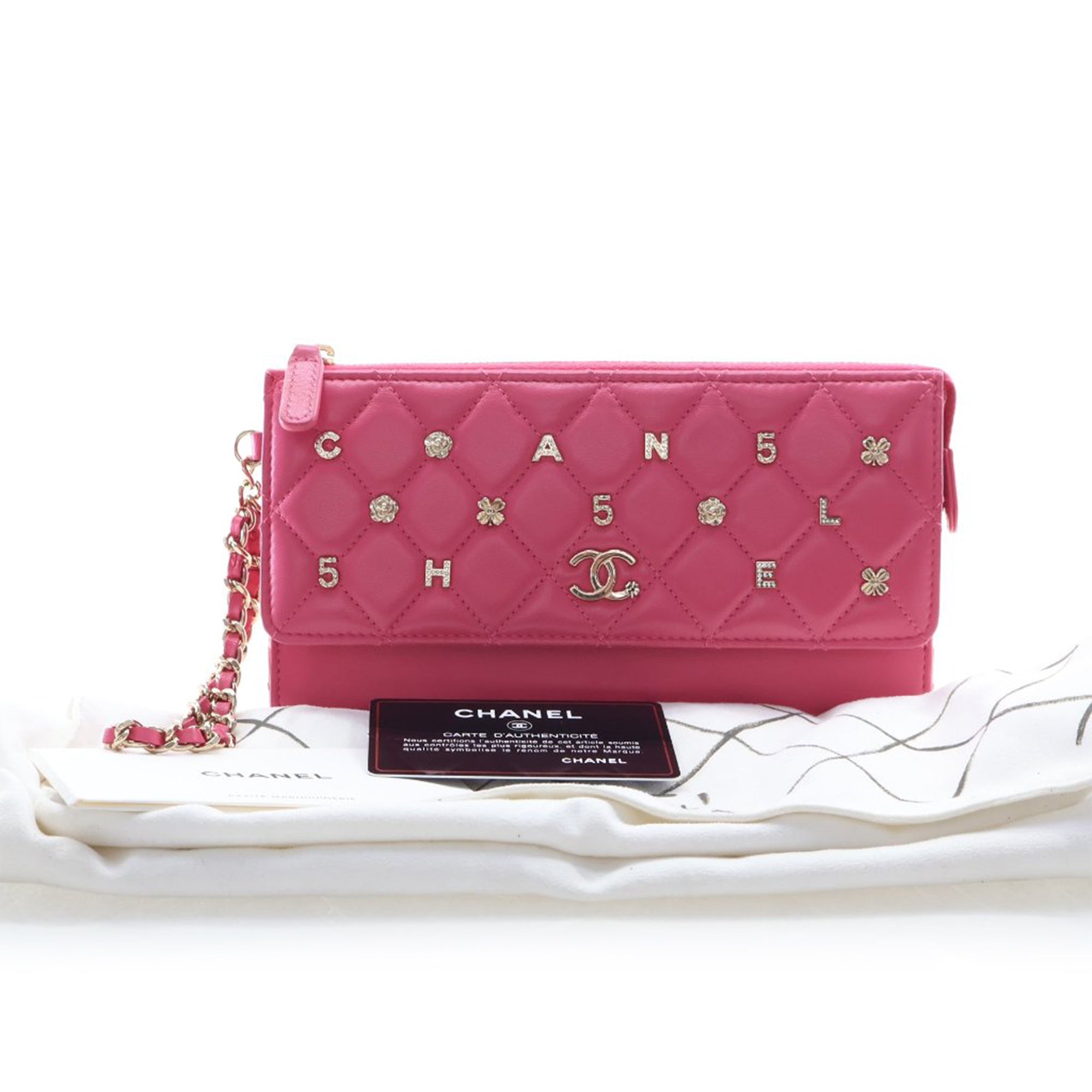 Chanel Quilted Lambskin All About Chanel Clutch On Chain - image 15