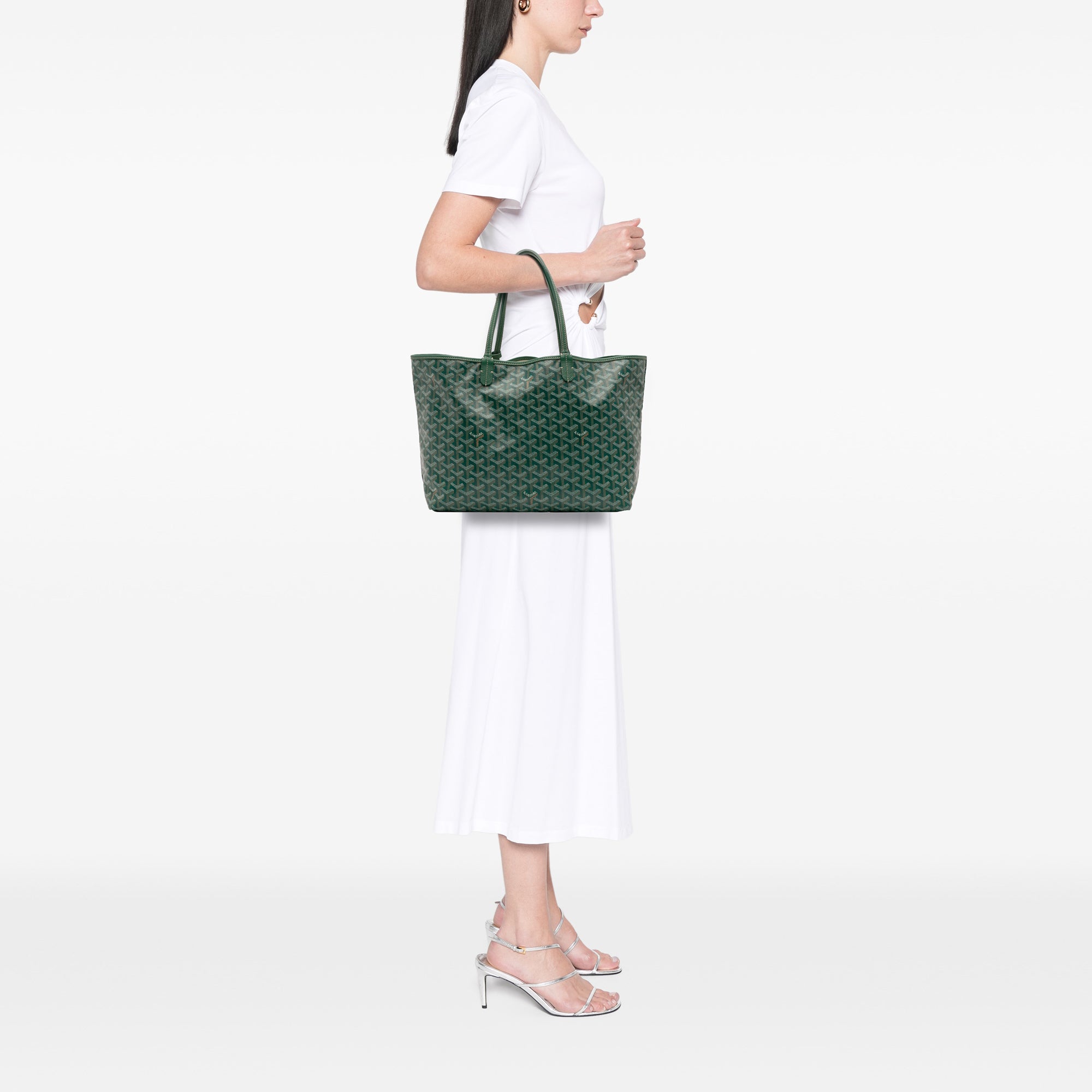 Goyard Goyardine Saint Louis PM - image 11