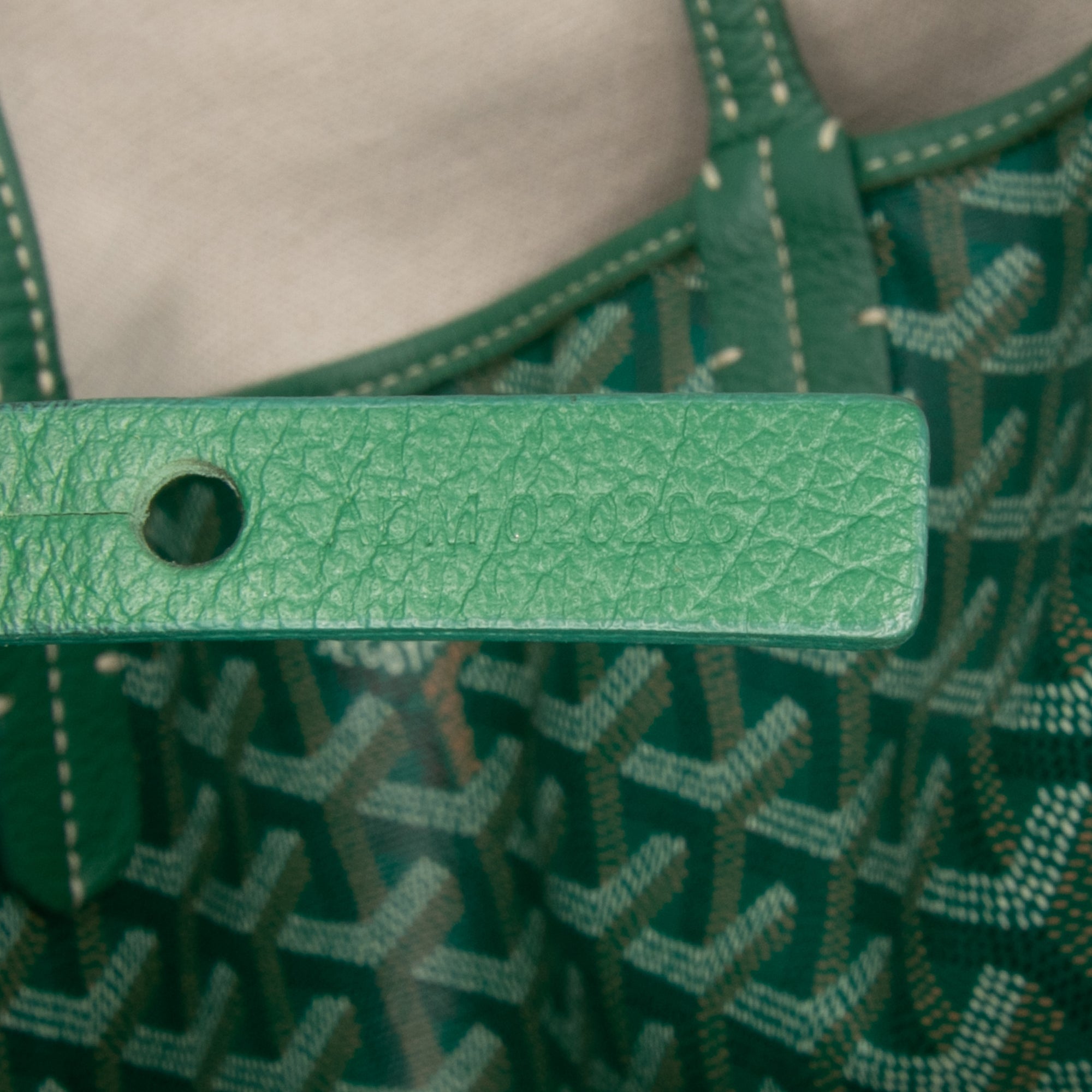 Goyard Goyardine Saint Louis PM - image 6