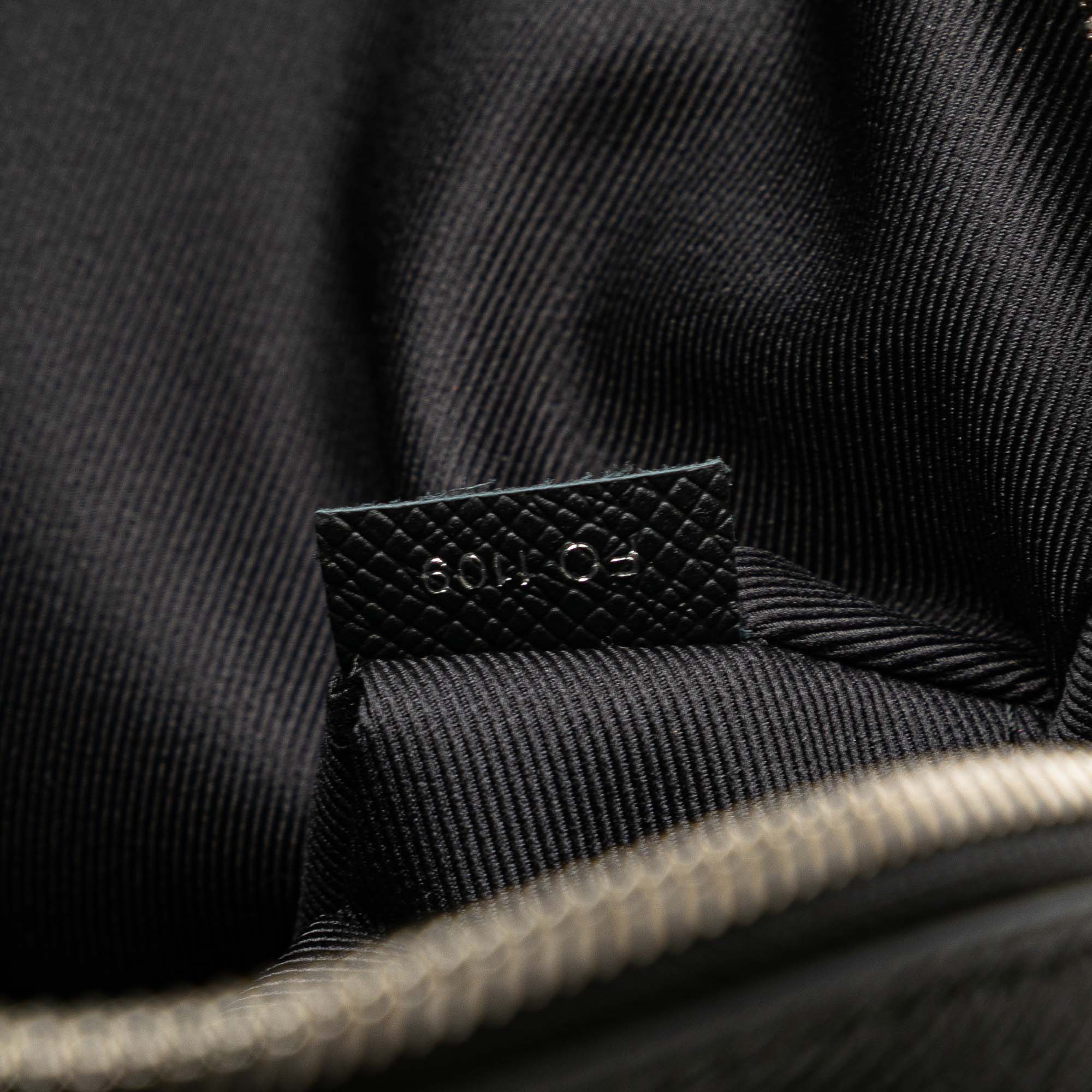 Louis Vuitton Monogram Eclipse Taigarama Outdoor Bumbag - image 7