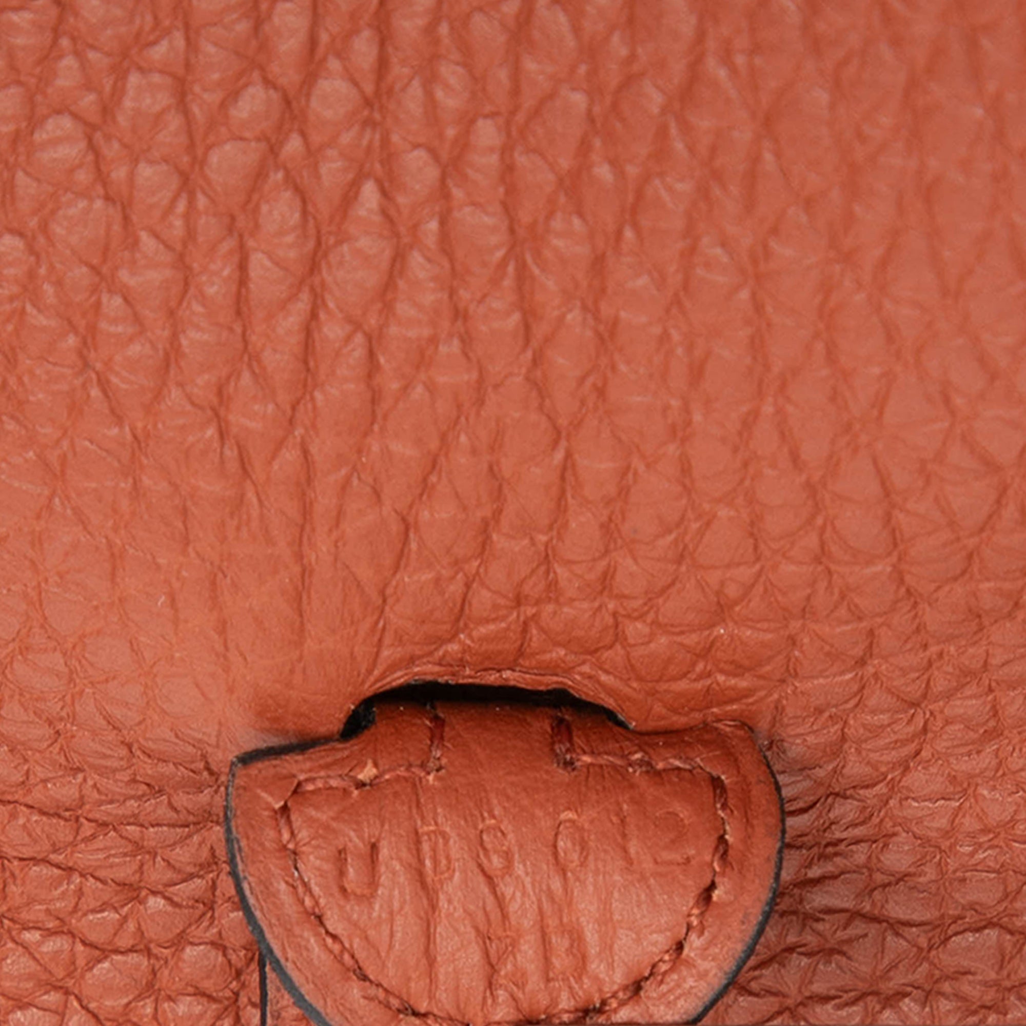 Hermès Clemence Evelyne 16 Amazone - image 6