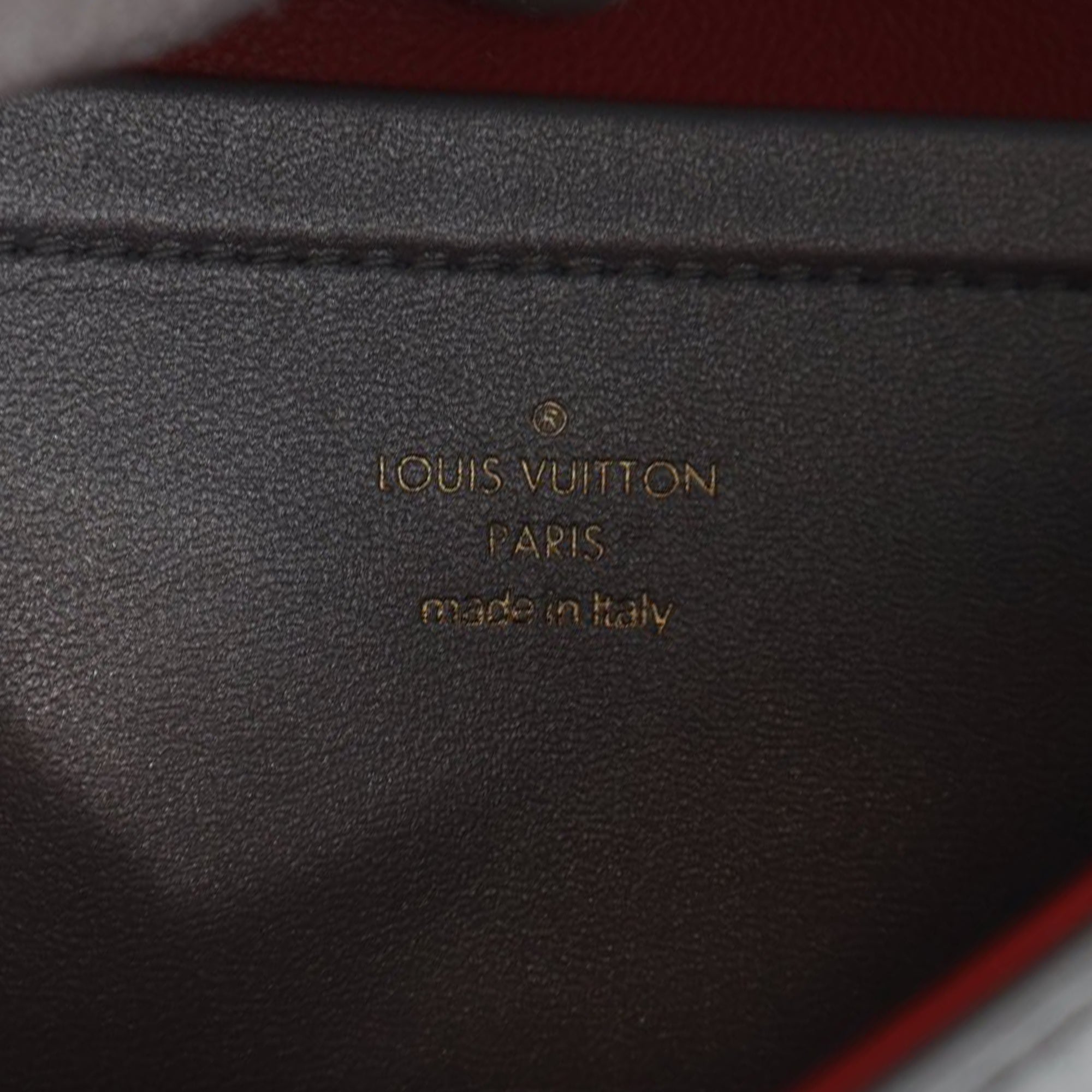 Louis Vuitton Monogram Embossed Lambskin Pochette Coussin - image 5