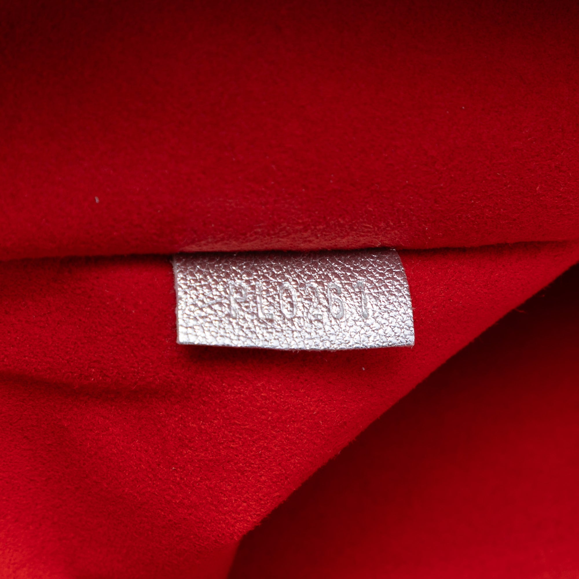 Louis Vuitton Monogram Embossed Puffy Lambskin Coussin PM - image 6