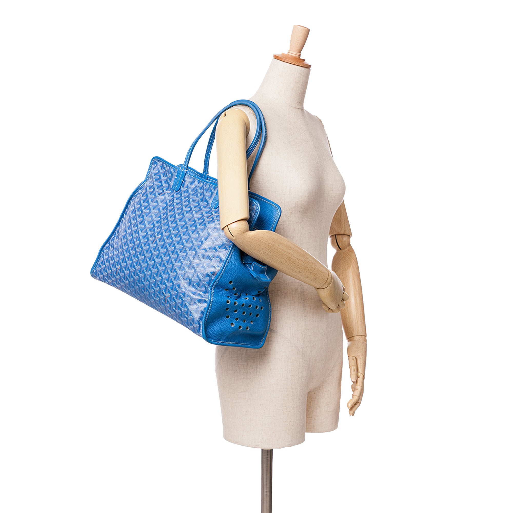 Goyard Goyardine Sac Hardy Pet Carrier PM - image 6