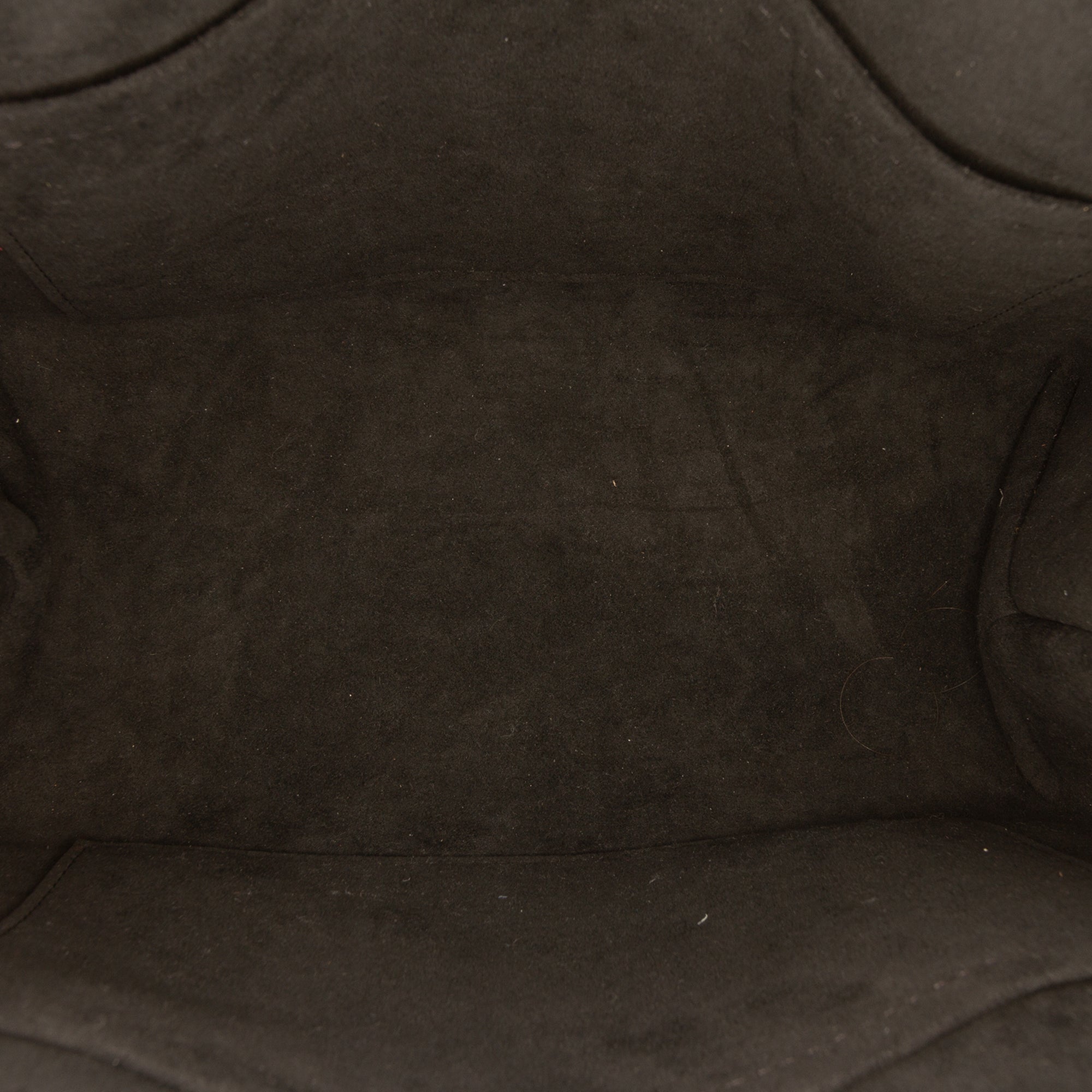 Louis Vuitton Bicolor Monogram Empreinte Giant Petit Palais - image 4