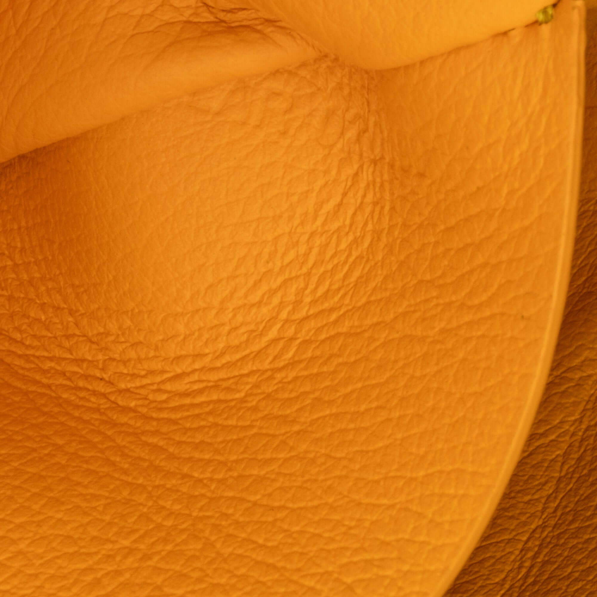 Goyard Mini Goyardine Saigon Souple