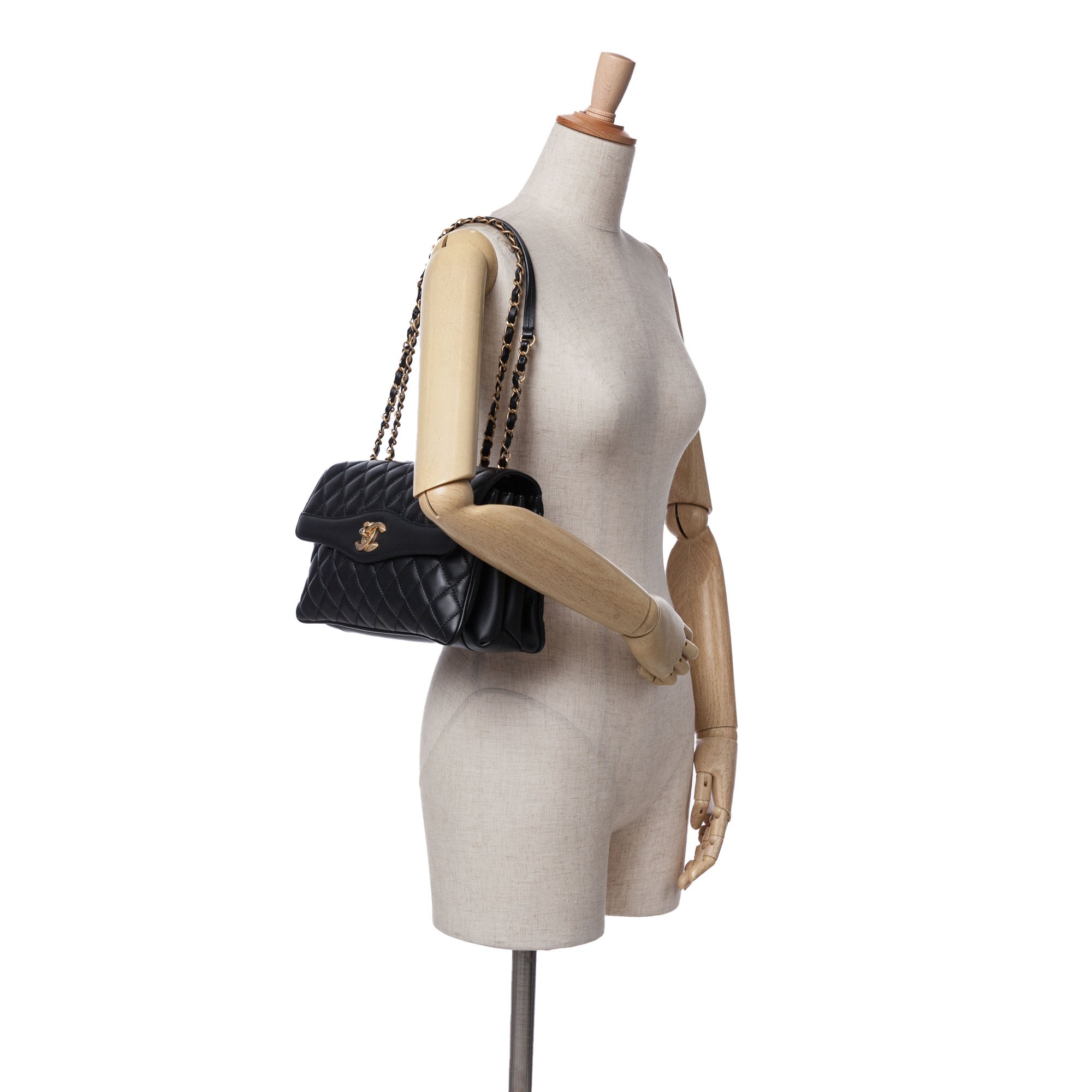 Chanel Large Quilted Lambskin Daily Companion Flap - image 11