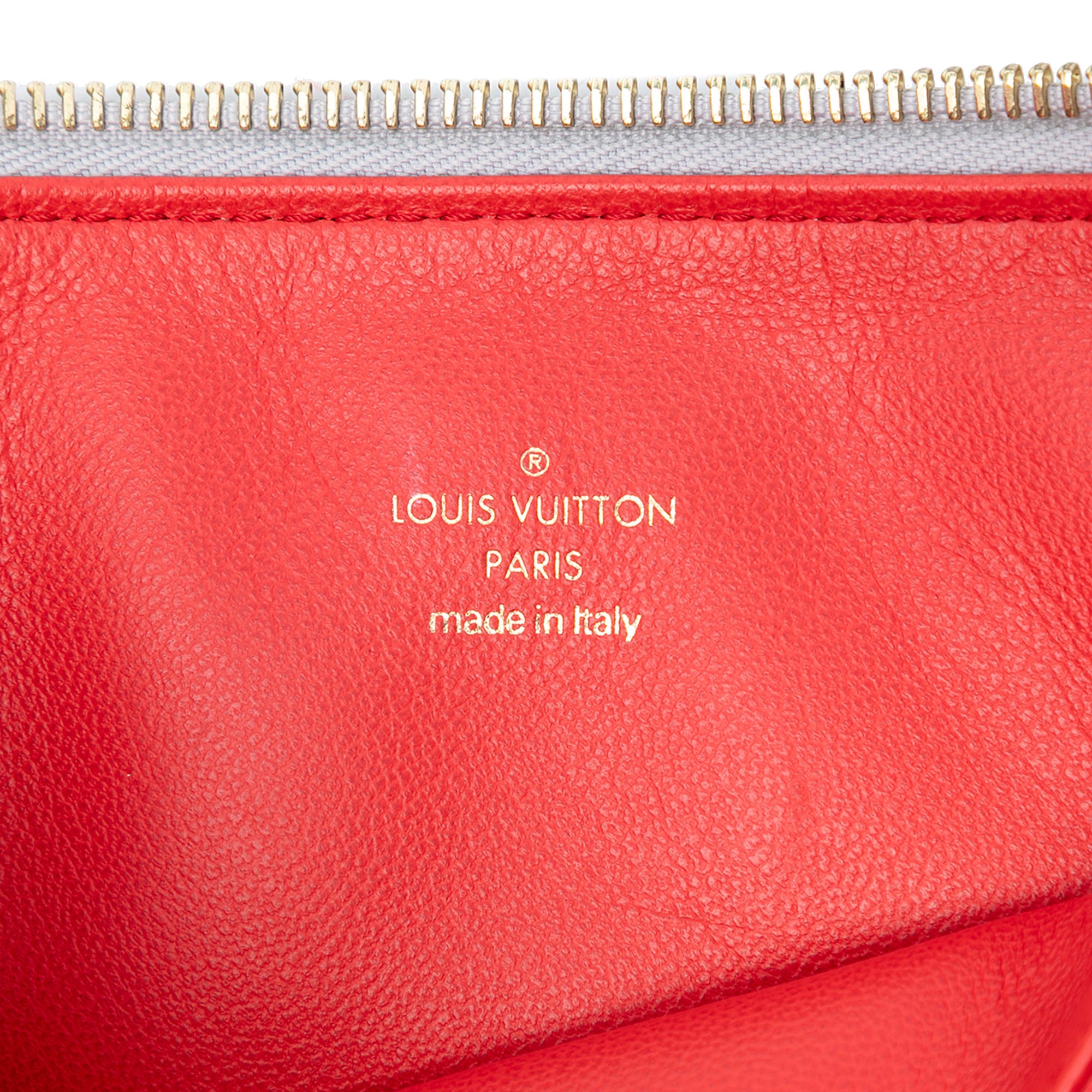 Louis Vuitton Monogram Embossed Puffy Lambskin Coussin PM - image 5