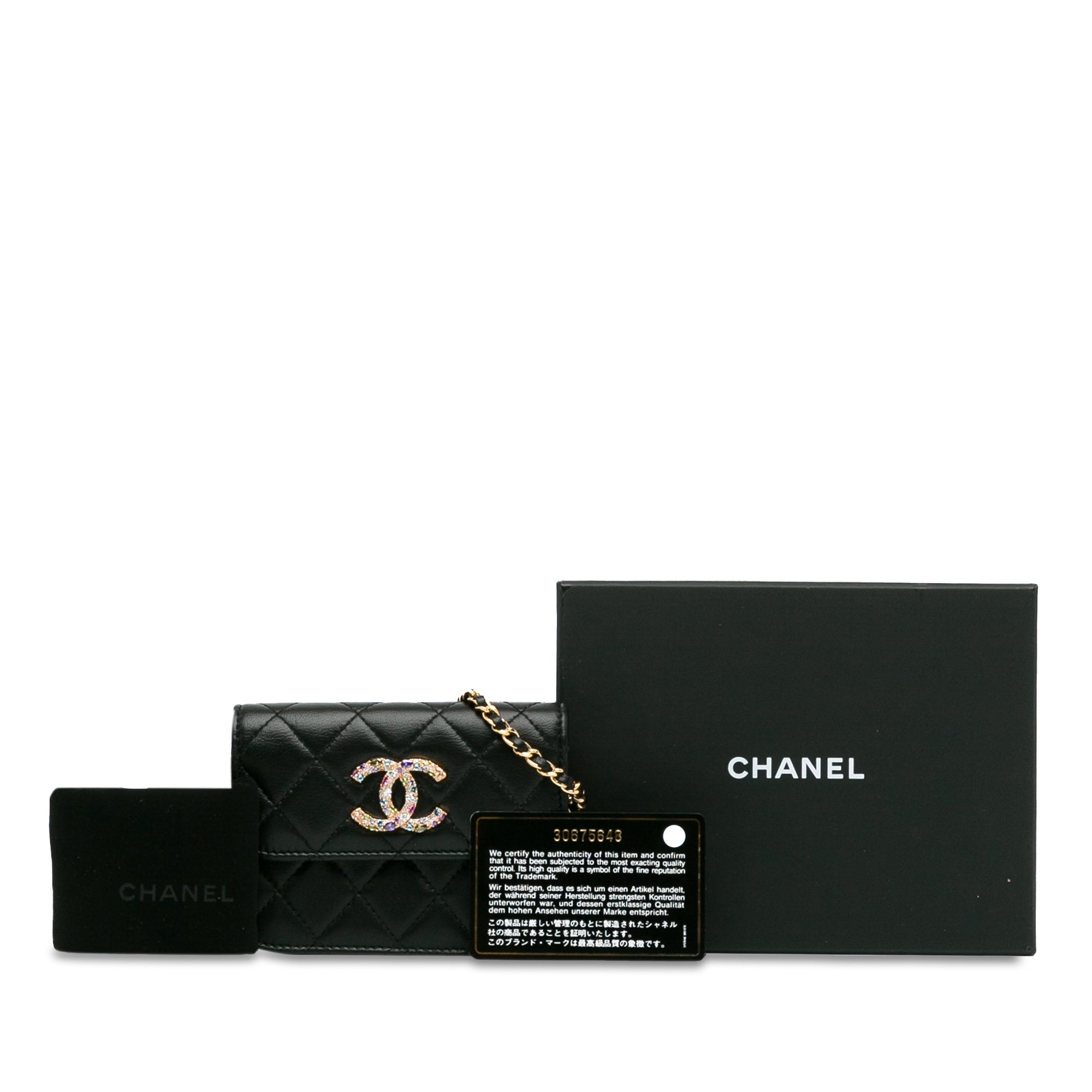 Chanel Lambskin Zirconium Clutch With Chain - image 10