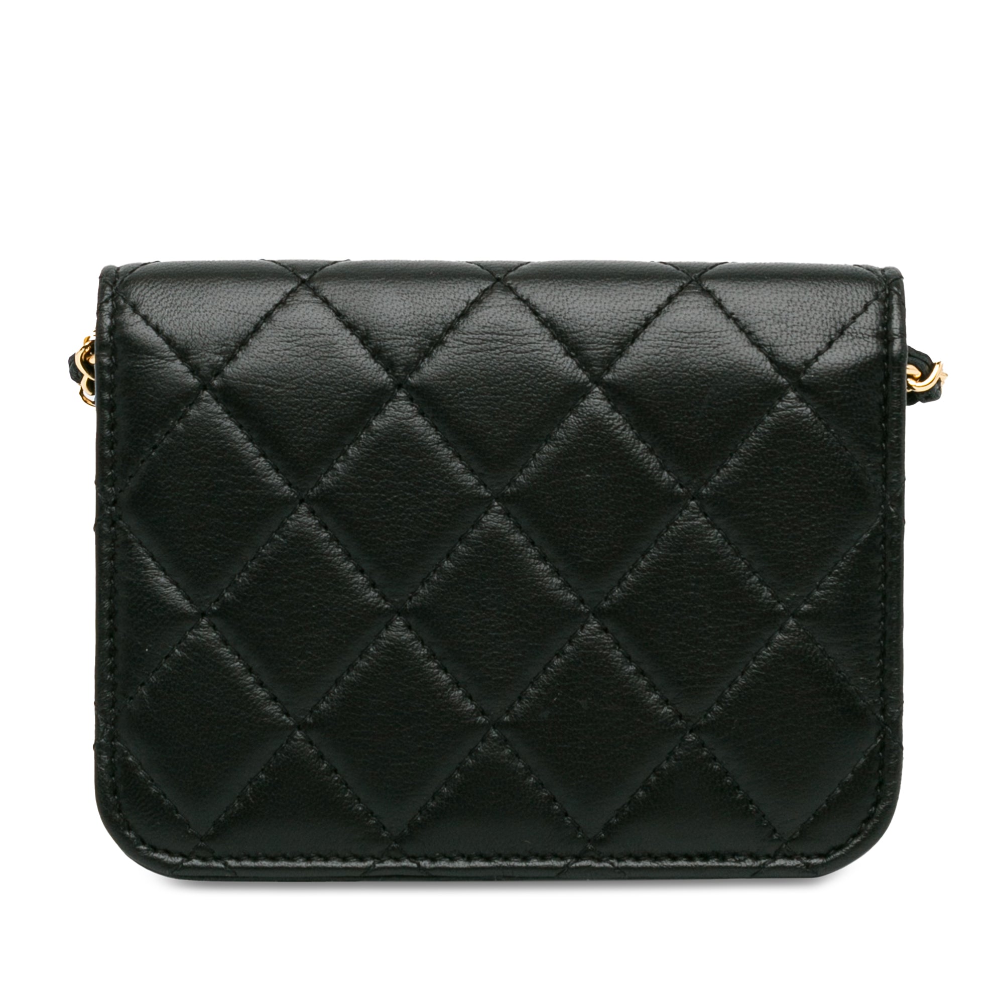 Chanel Lambskin Zirconium Clutch With Chain - image 3