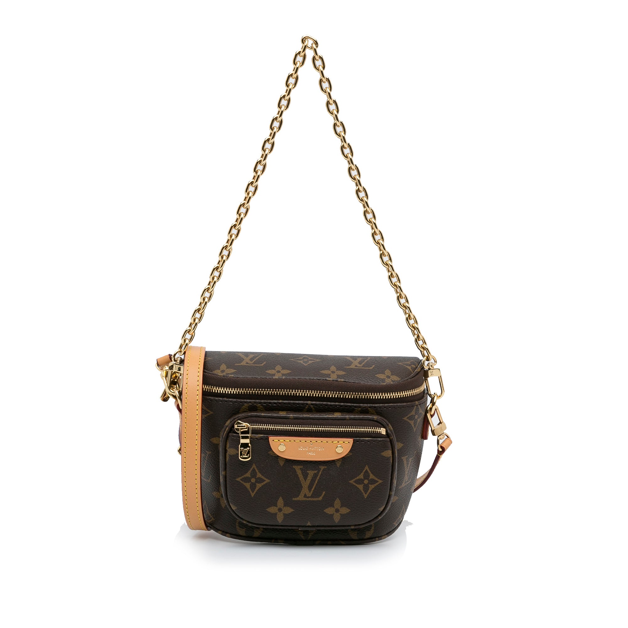 Louis Vuitton Monogram Mini Bumbag - image 1