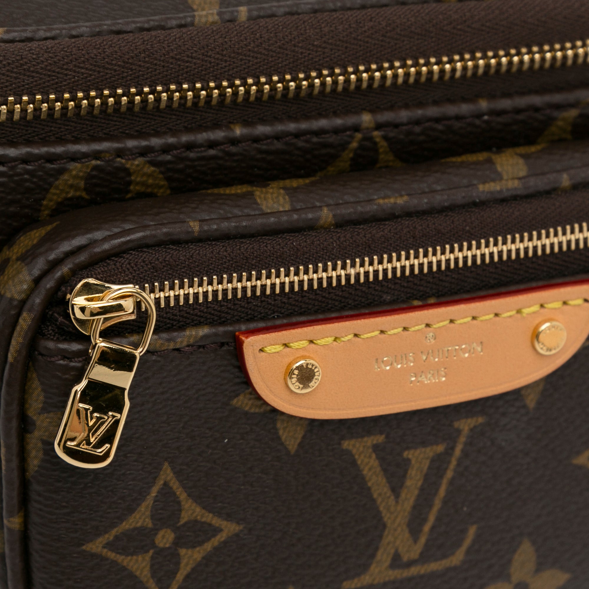 Louis Vuitton Monogram Mini Bumbag - image 10