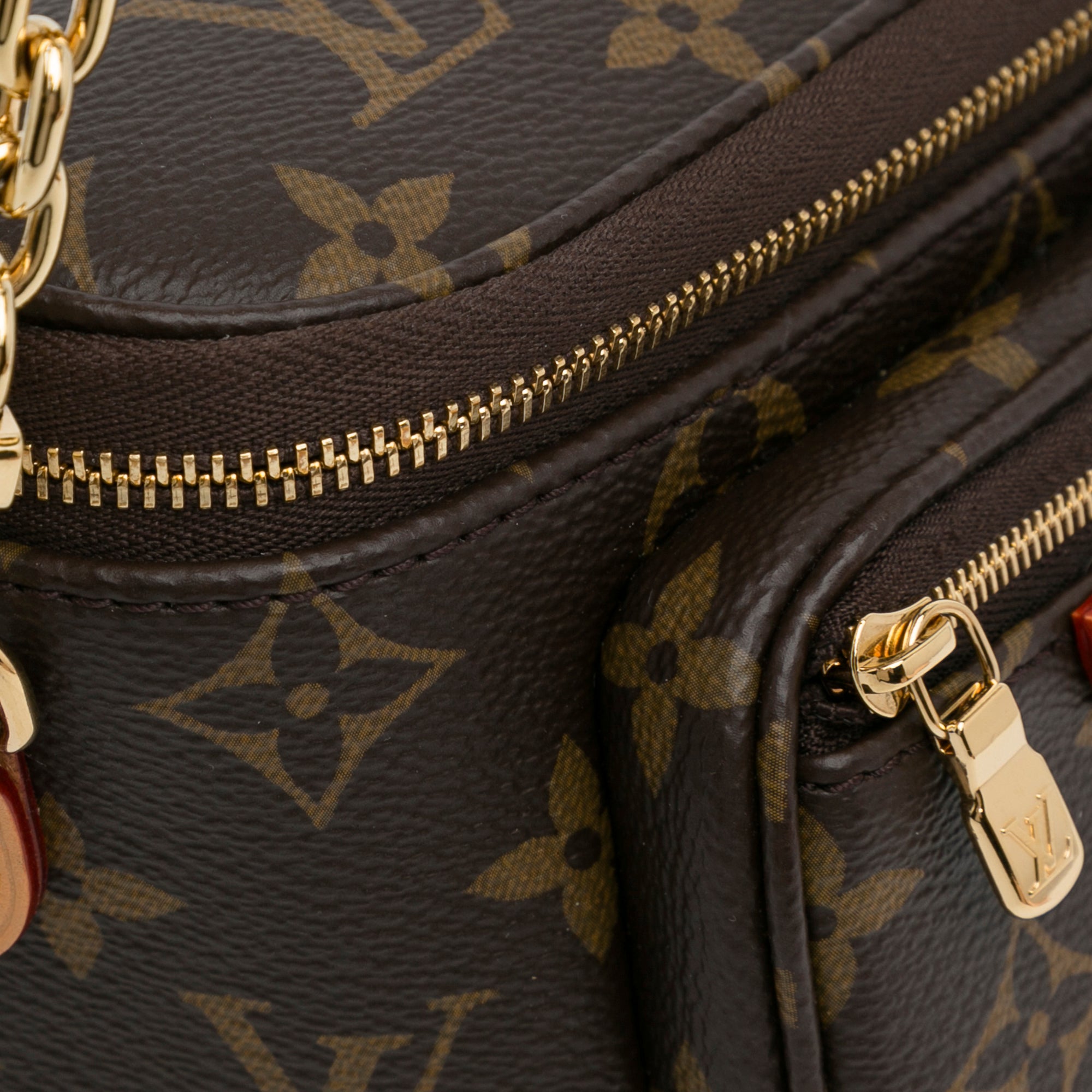 Louis Vuitton Monogram Mini Bumbag - image 11