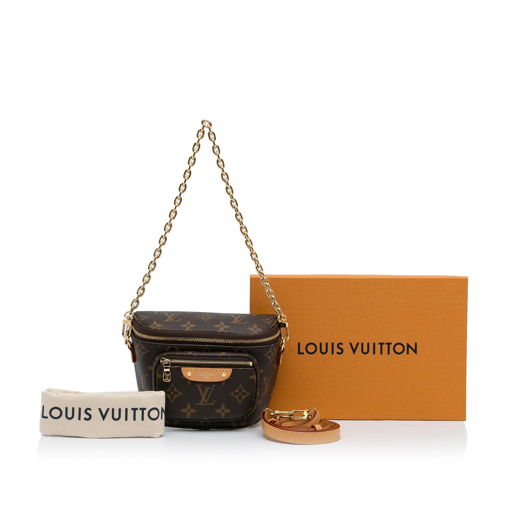 Louis Vuitton Monogram Mini Bumbag - image 13
