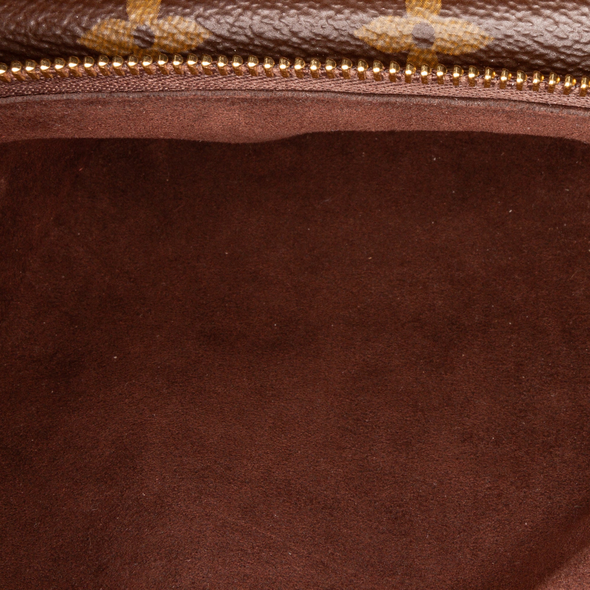 Louis Vuitton Monogram Mini Bumbag - image 7
