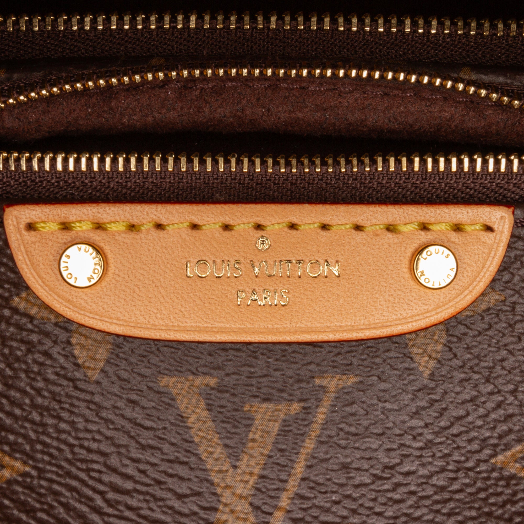Louis Vuitton Monogram Mini Bumbag - image 8