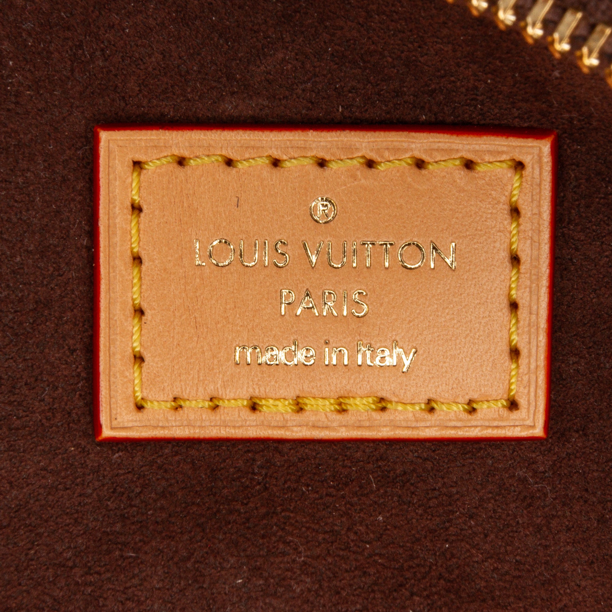 Louis Vuitton Monogram Mini Bumbag - image 9
