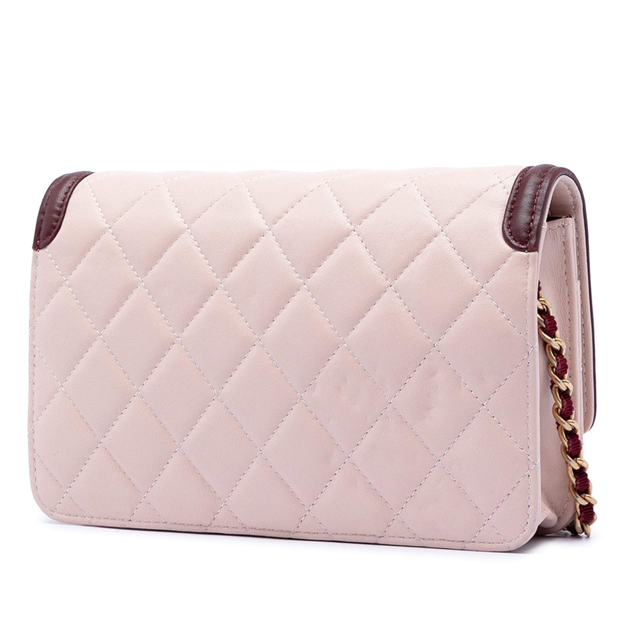 Chanel Mini Quilted Lambskin Two Tone Day Flap - image 2
