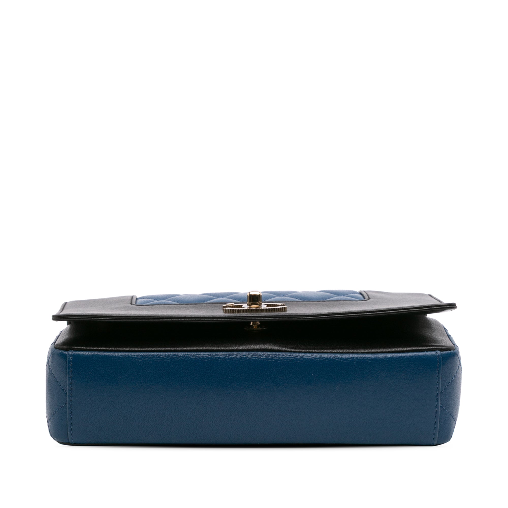 Chanel Small Bicolor Lambskin Mademoiselle Flap - image 3