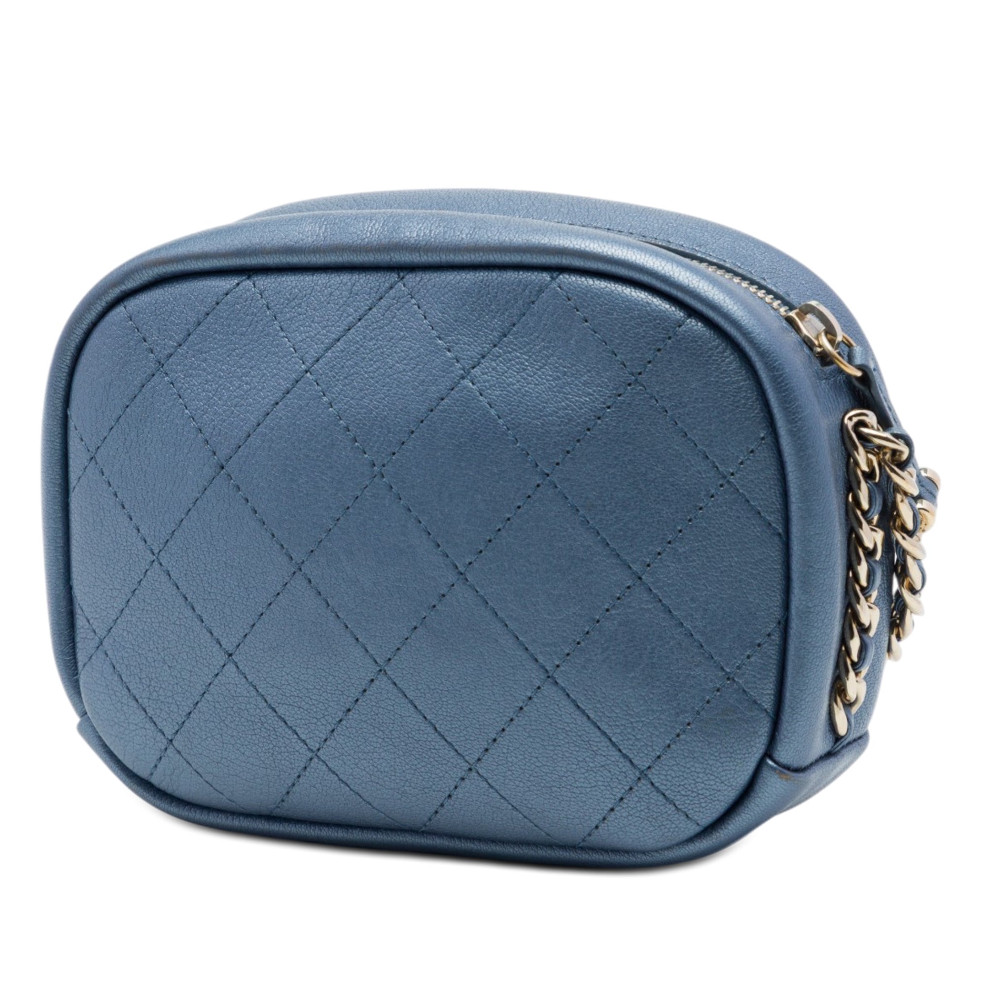Chanel Small Quilted Metallic Goatskin Casual Trip Camera Bag - image 2