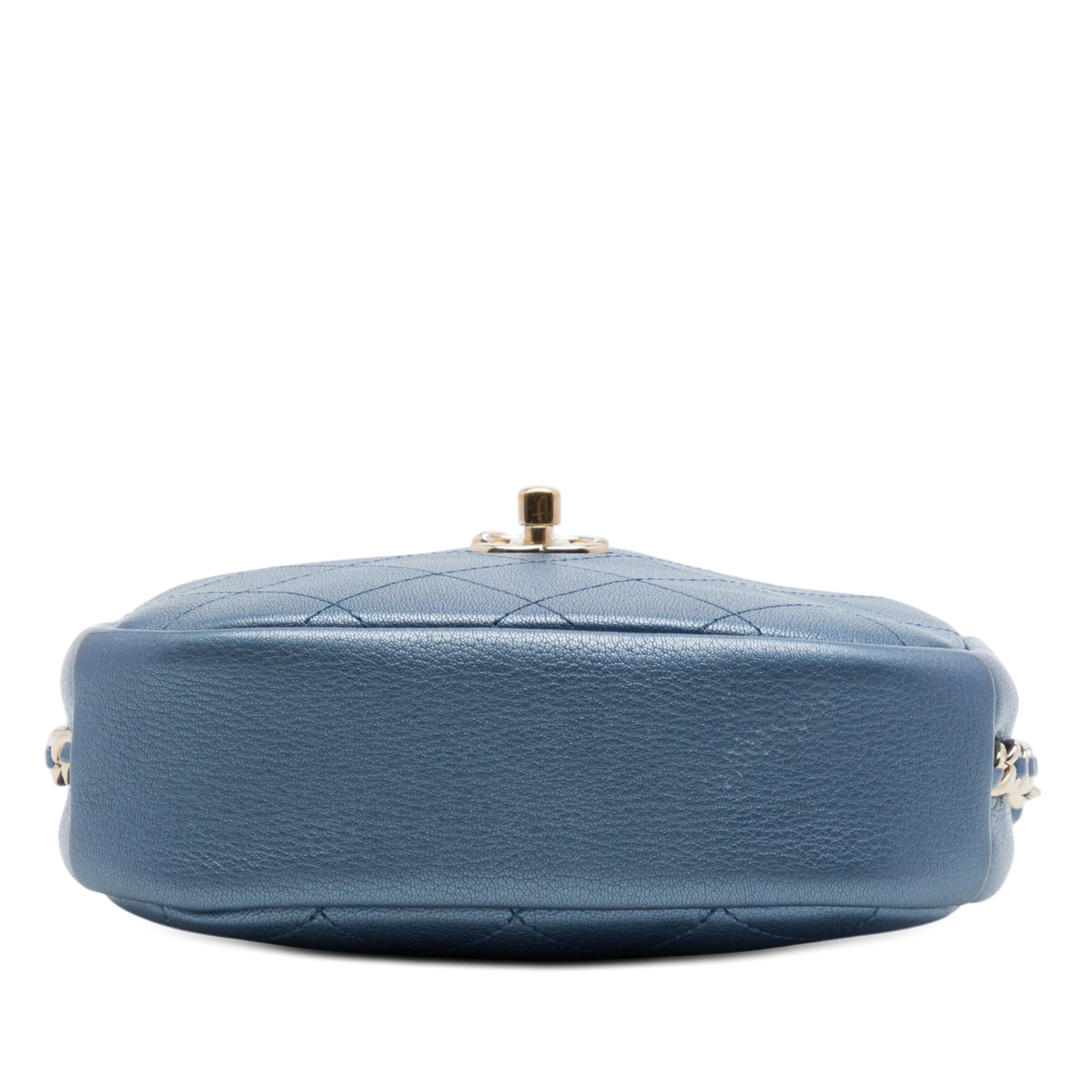 Chanel Small Quilted Metallic Goatskin Casual Trip Camera Bag - image 3