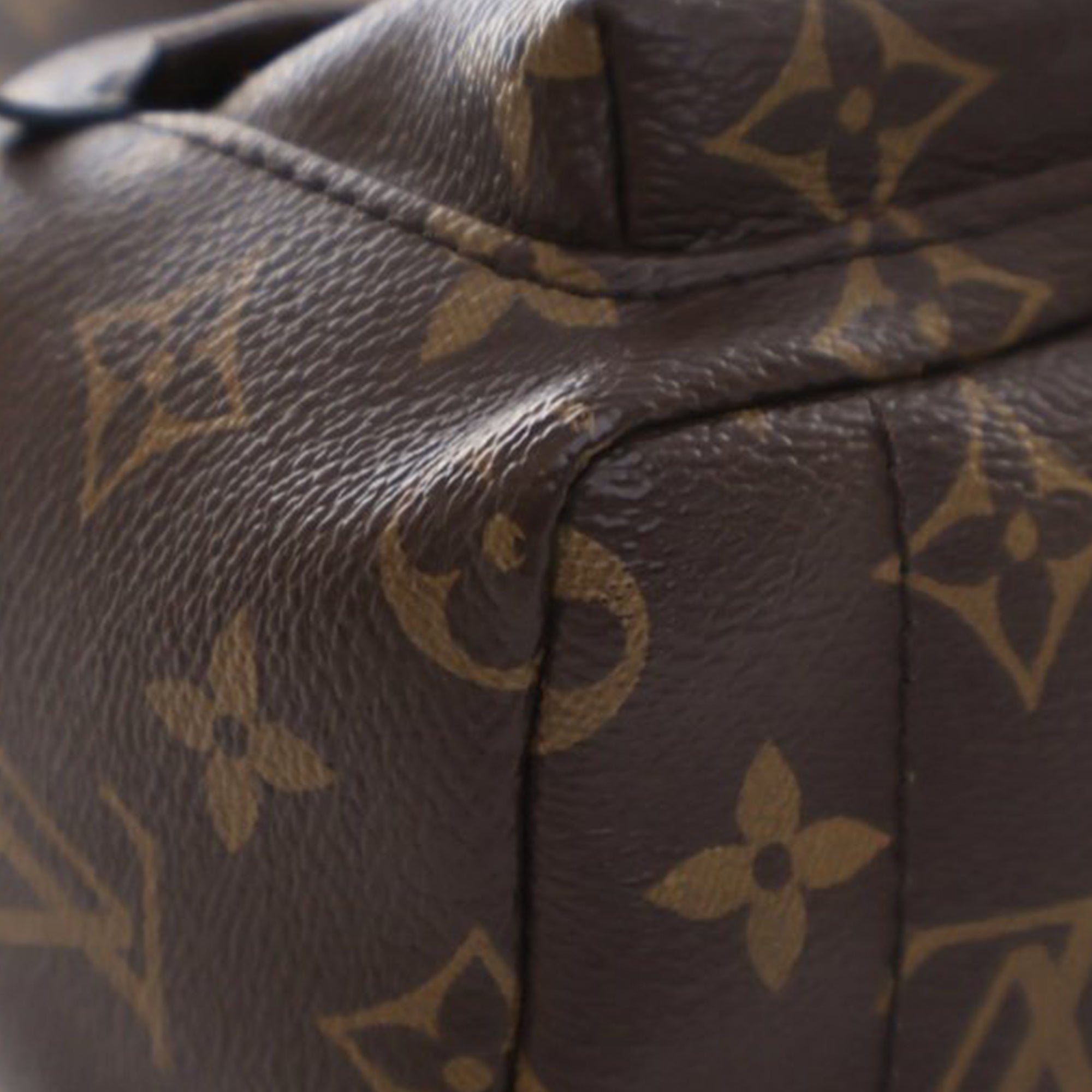 Louis Vuitton Monogram Mini Palm Springs - image 10