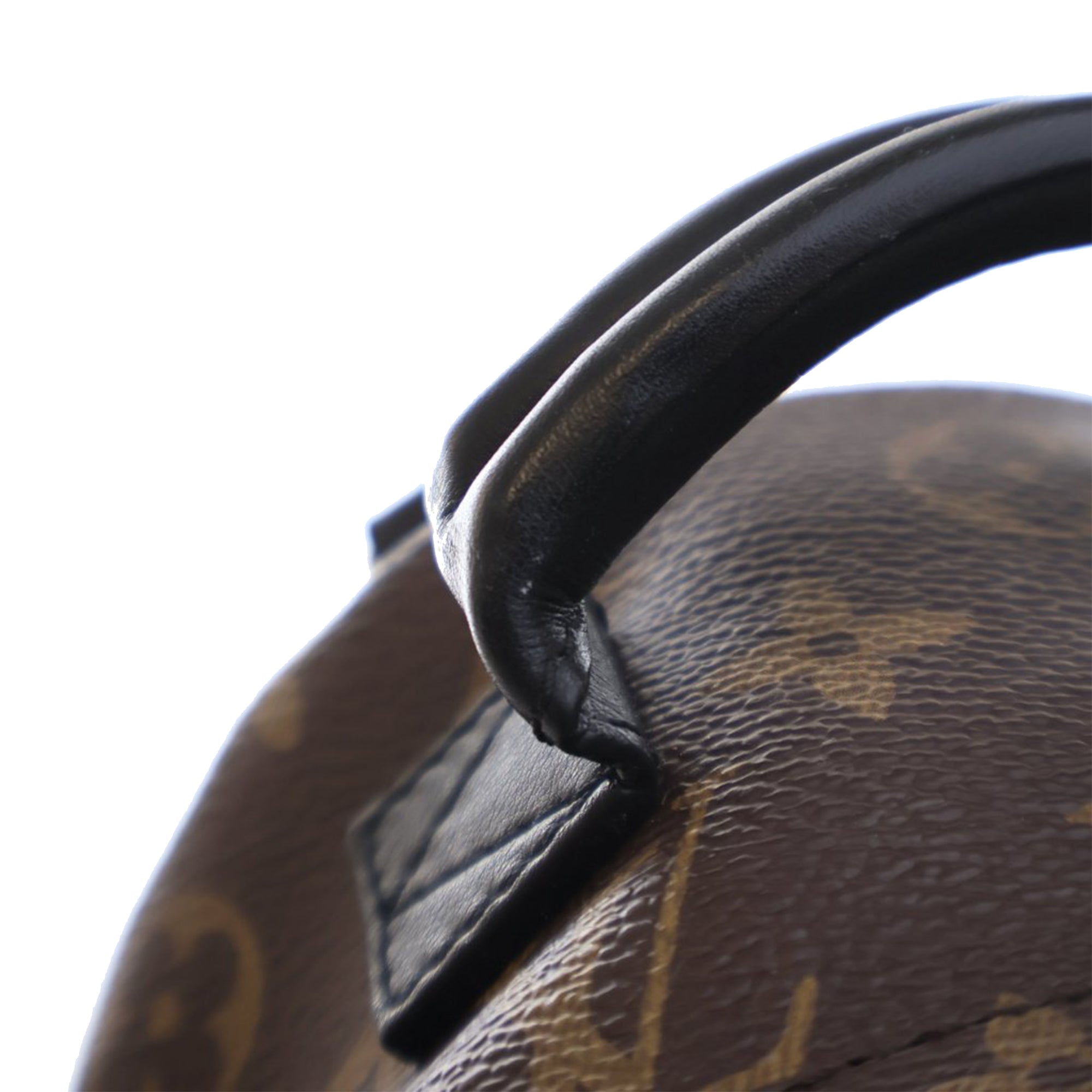 Louis Vuitton Monogram Mini Palm Springs - image 12