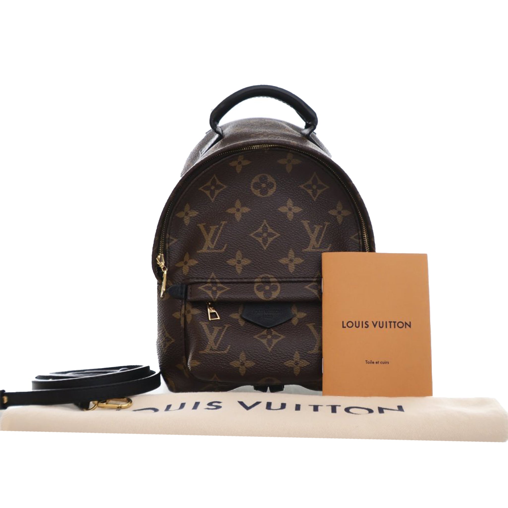 Louis Vuitton Monogram Mini Palm Springs - image 13