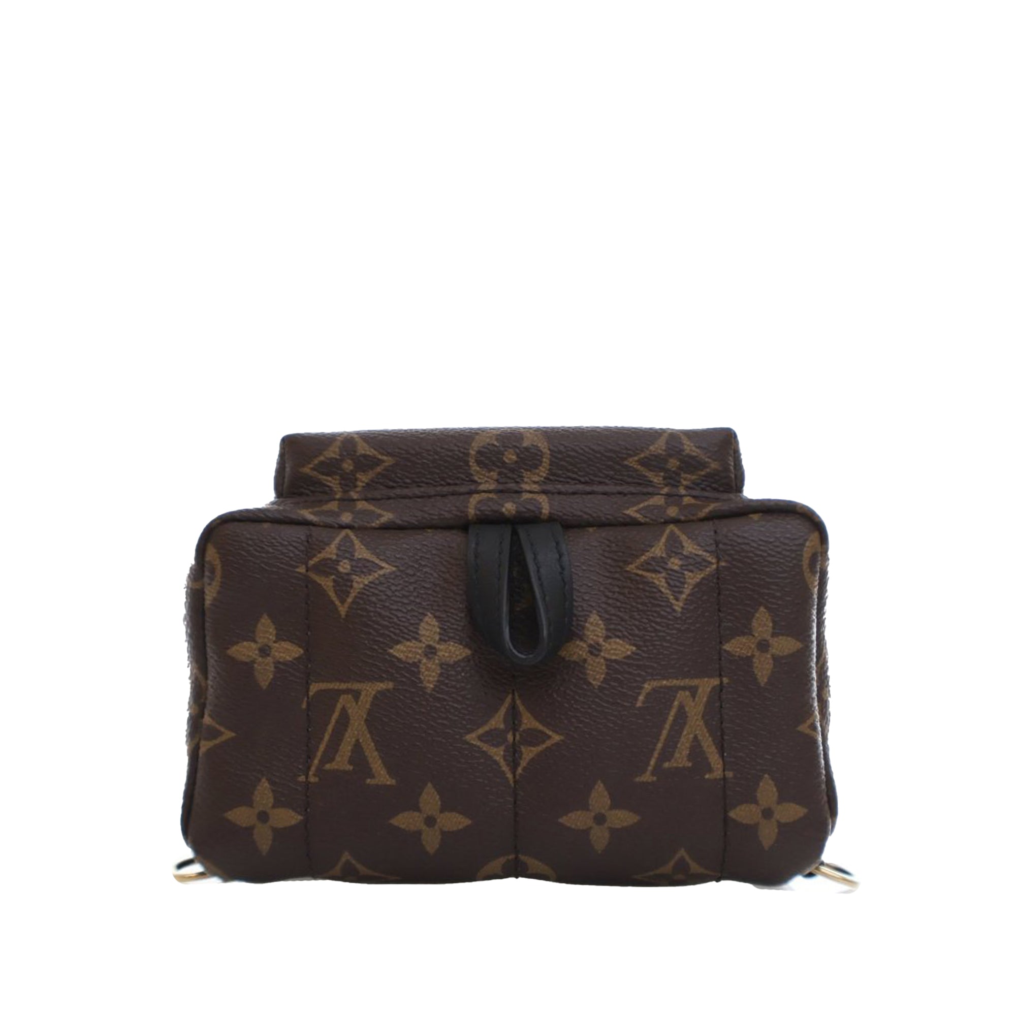 Louis Vuitton Monogram Mini Palm Springs - image 3