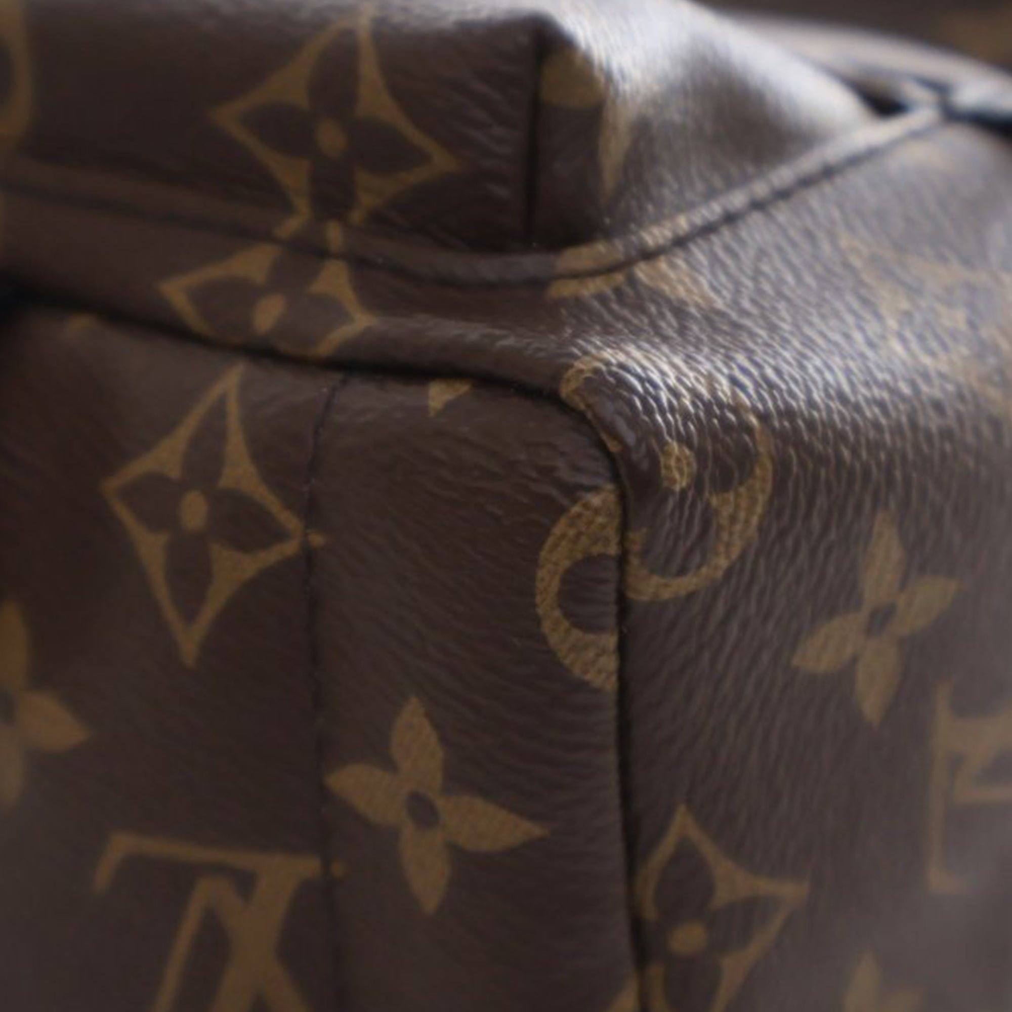 Louis Vuitton Monogram Mini Palm Springs - image 6