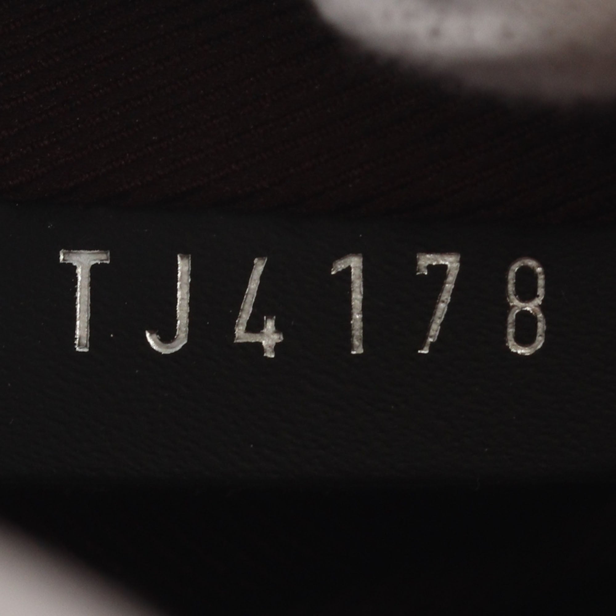 Louis Vuitton Monogram Macassar Josh - image 10