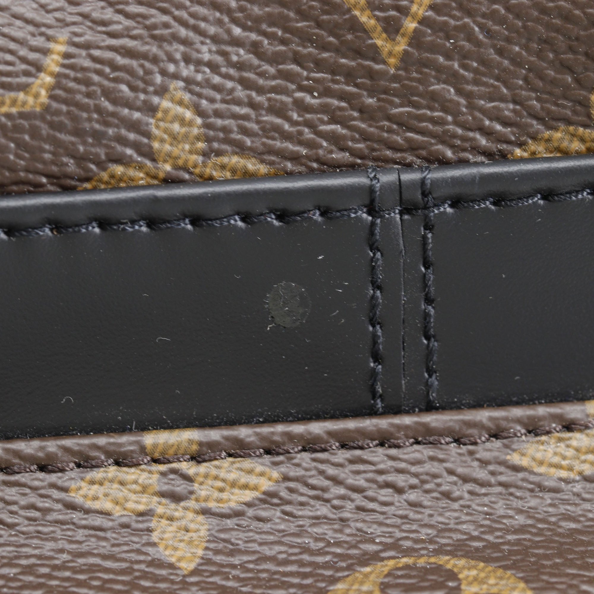 Louis Vuitton Monogram Macassar Josh - image 12