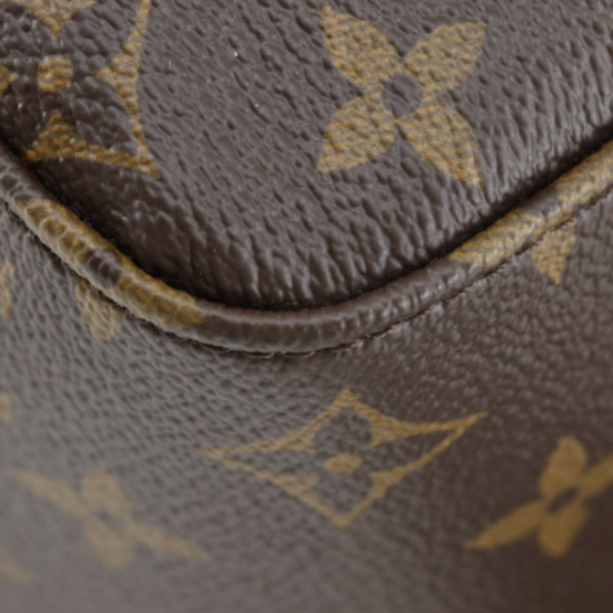 Louis Vuitton Monogram Macassar Josh - image 19