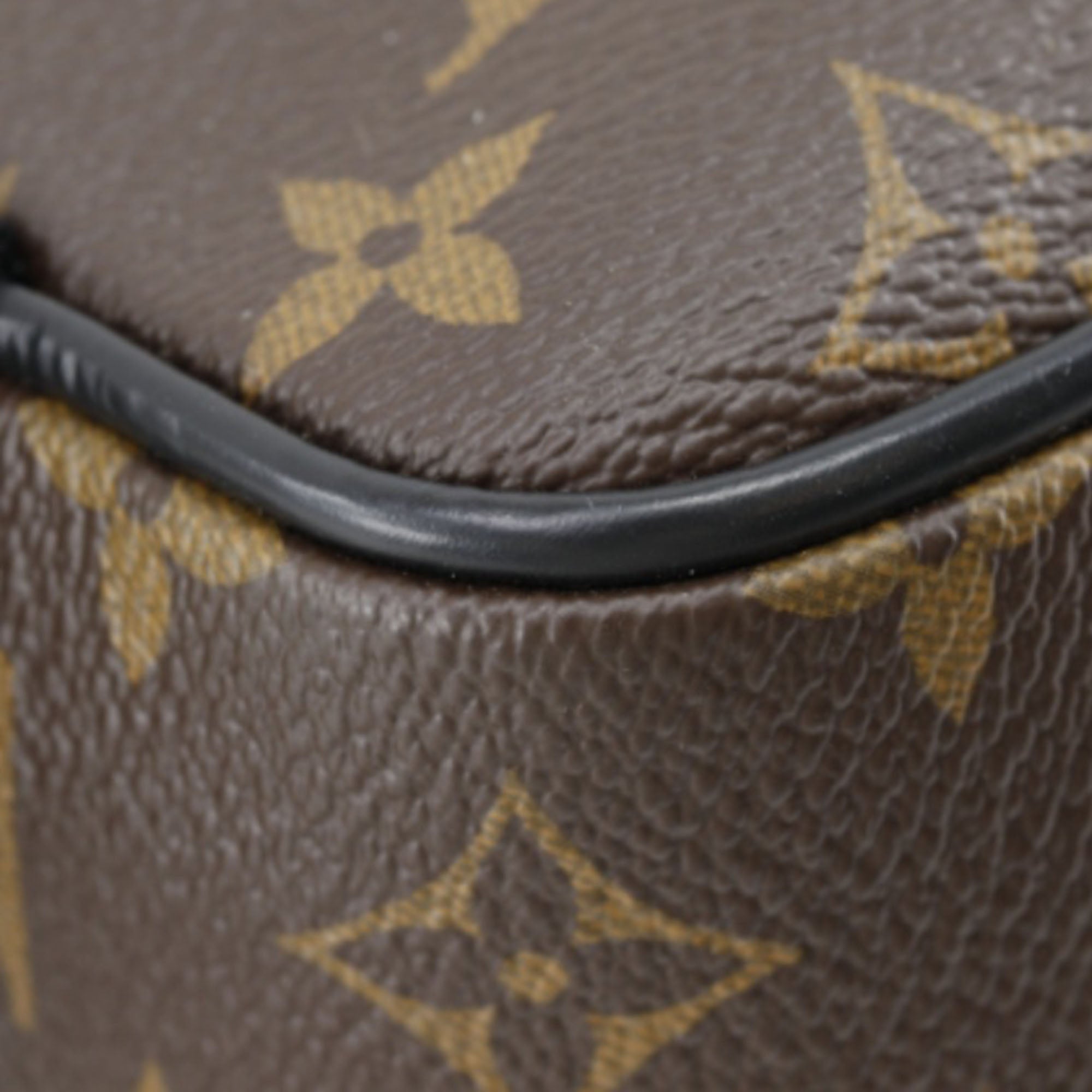 Louis Vuitton Monogram Macassar Josh - image 20