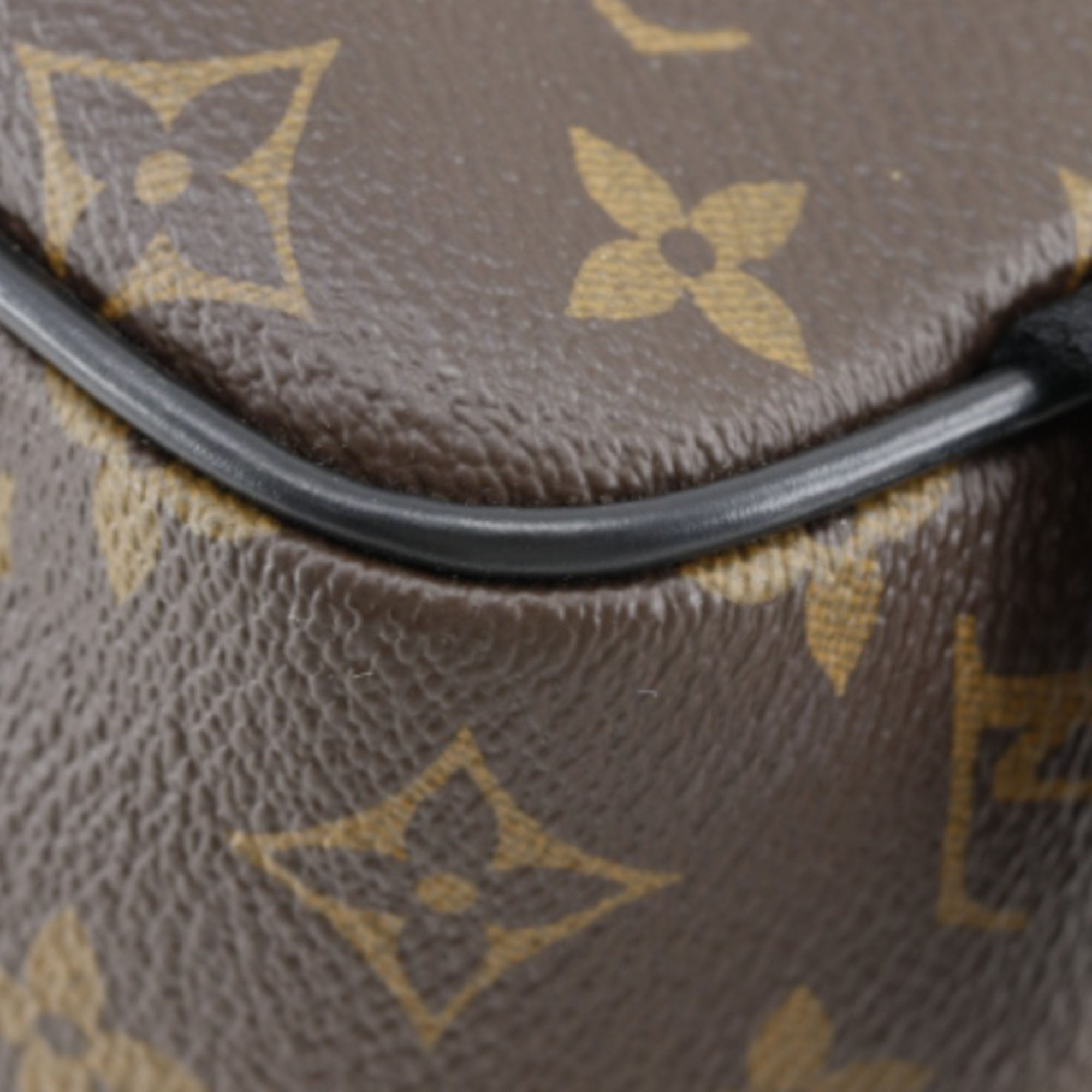 Louis Vuitton Monogram Macassar Josh - image 21