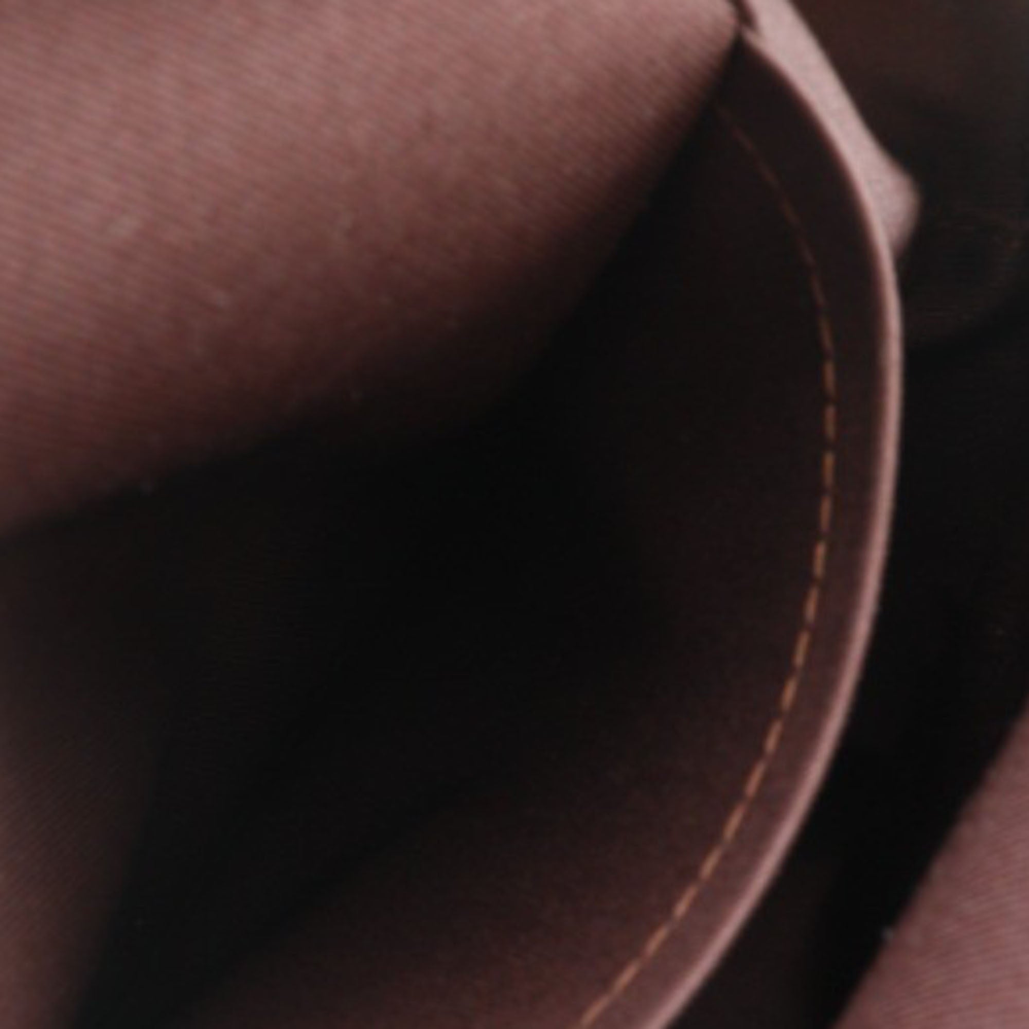 Louis Vuitton Monogram Macassar Josh - image 6