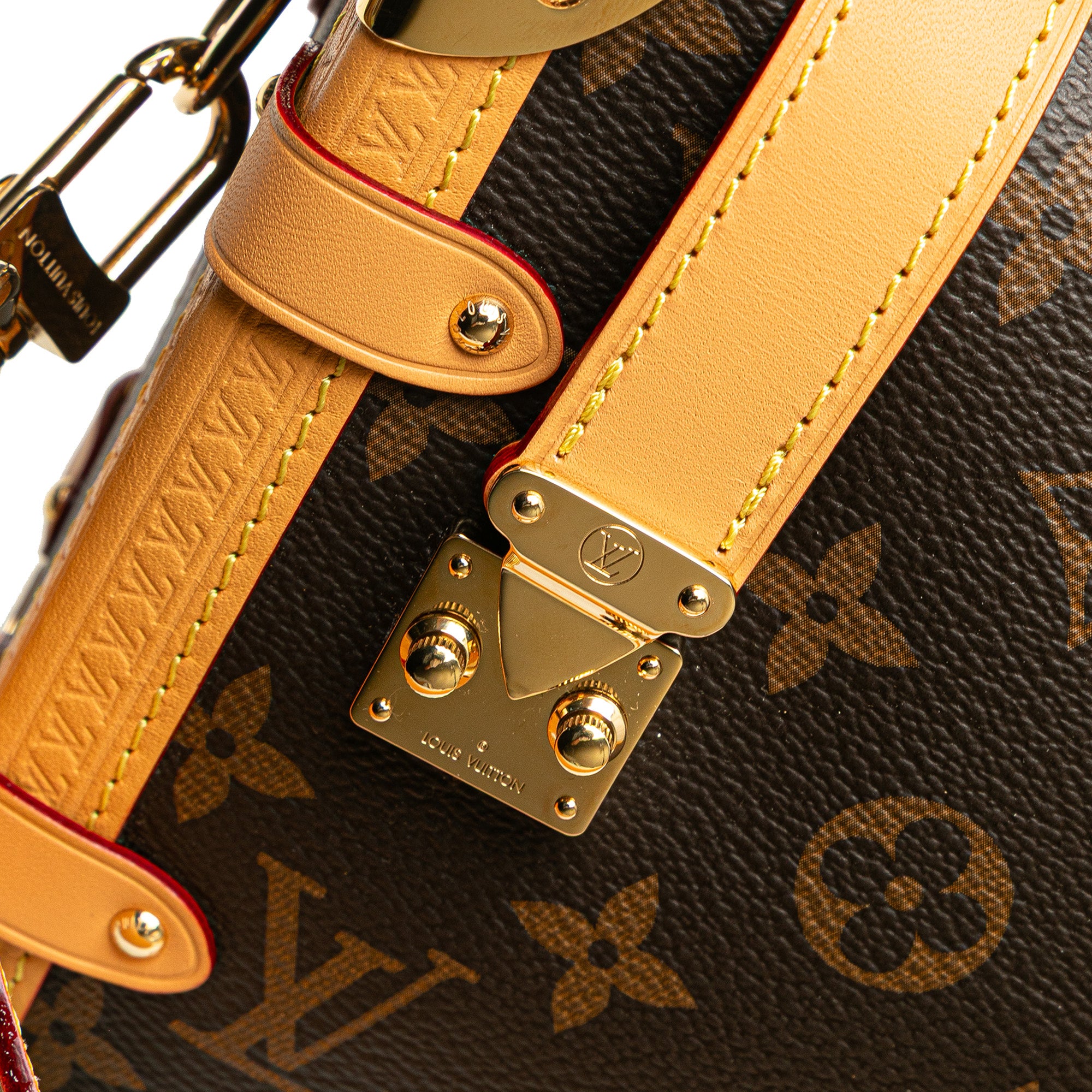 Louis Vuitton Monogram Side Trunk MM - image 7